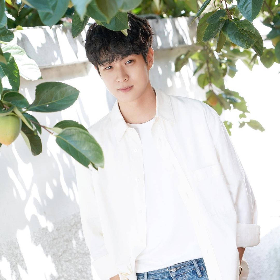 Choi Woo Shik, white shirt, leafy branches, SD Desktop Wallpaper