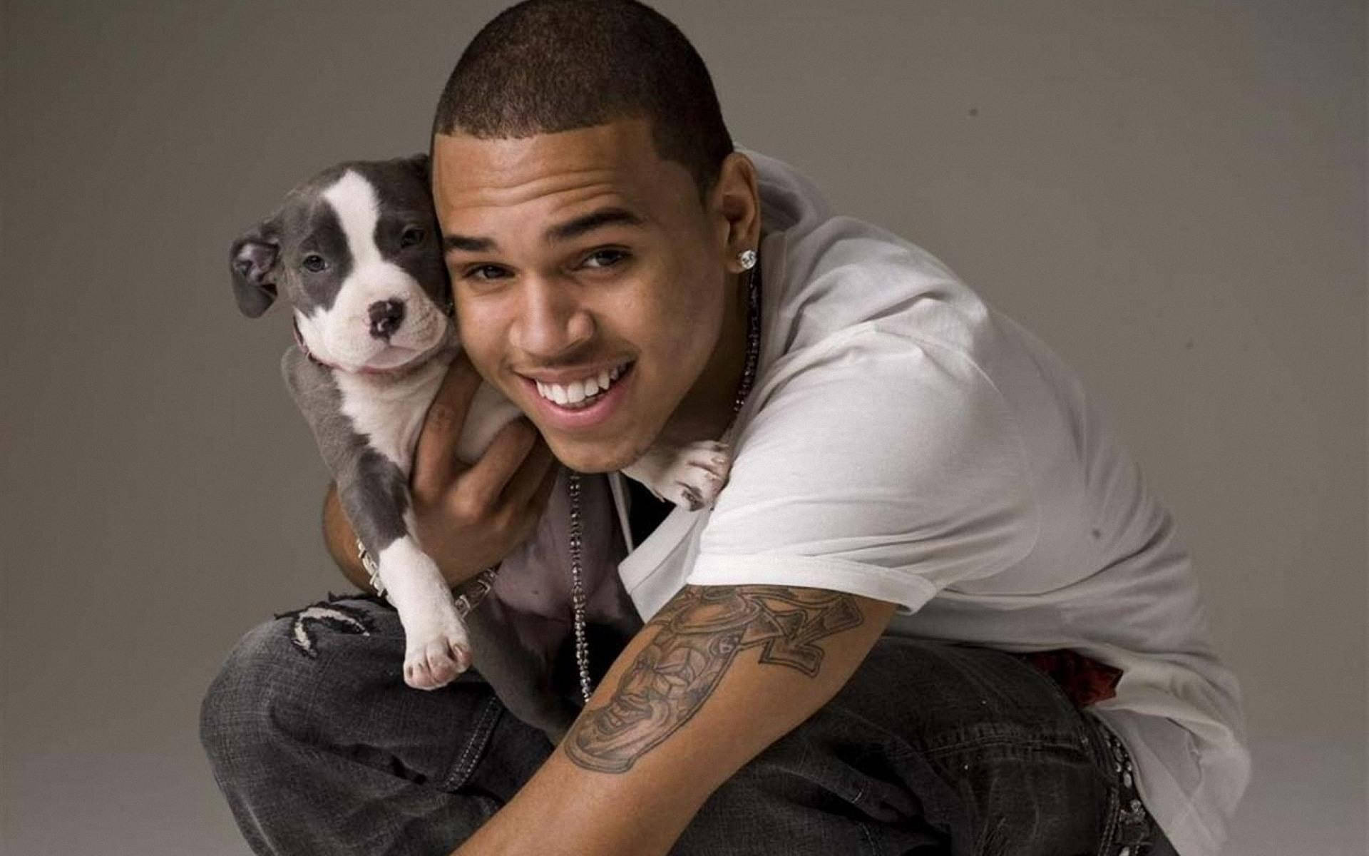 Chris Brown, puppy, gray and white puppy, Full HD Desktop Wallpaper