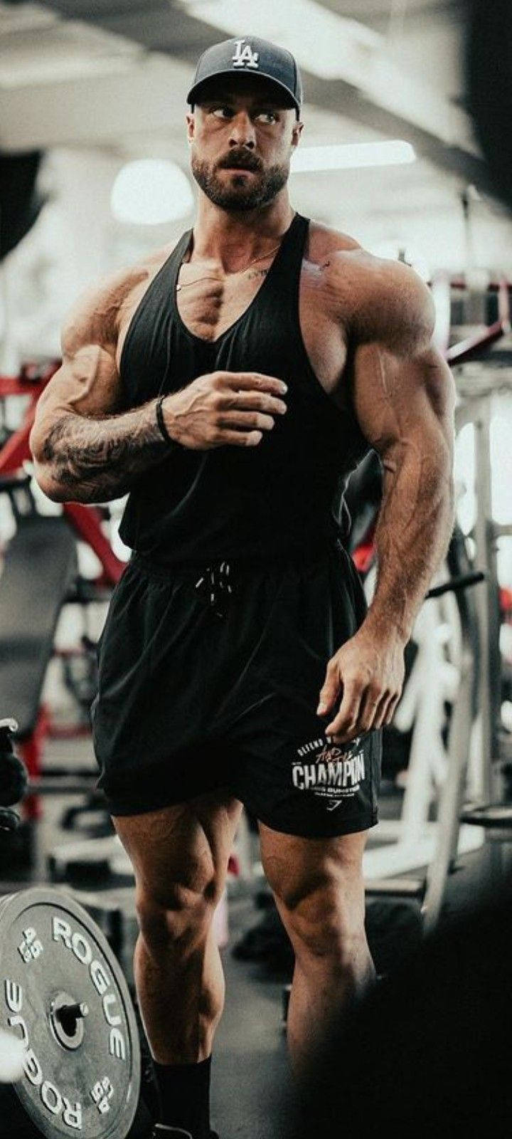 Chris Bumstead, gym, barbell, HD Phone Wallpaper
