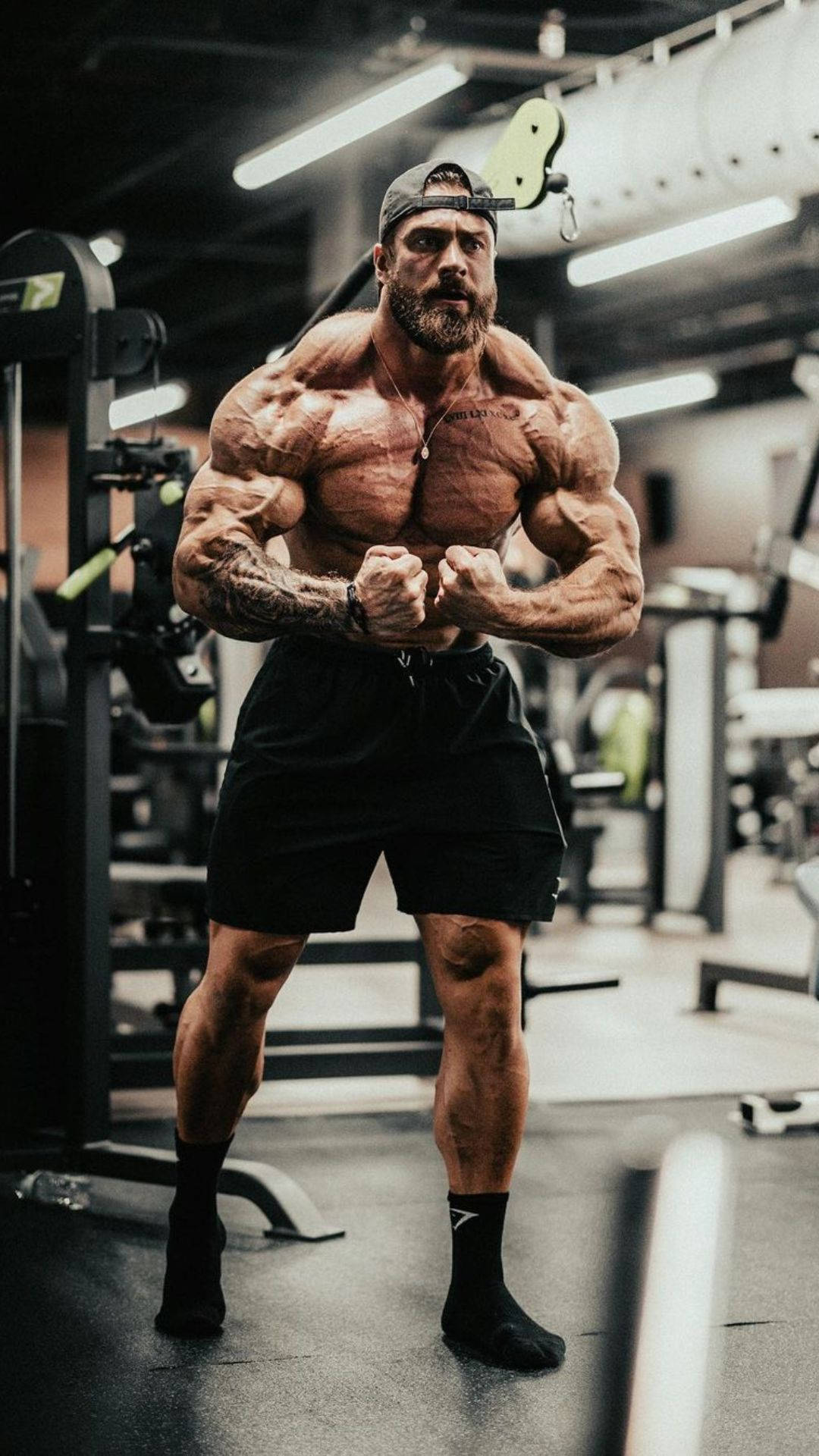 Chris Bumstead, dimly lit gym, equipment, Full HD Phone Wallpaper