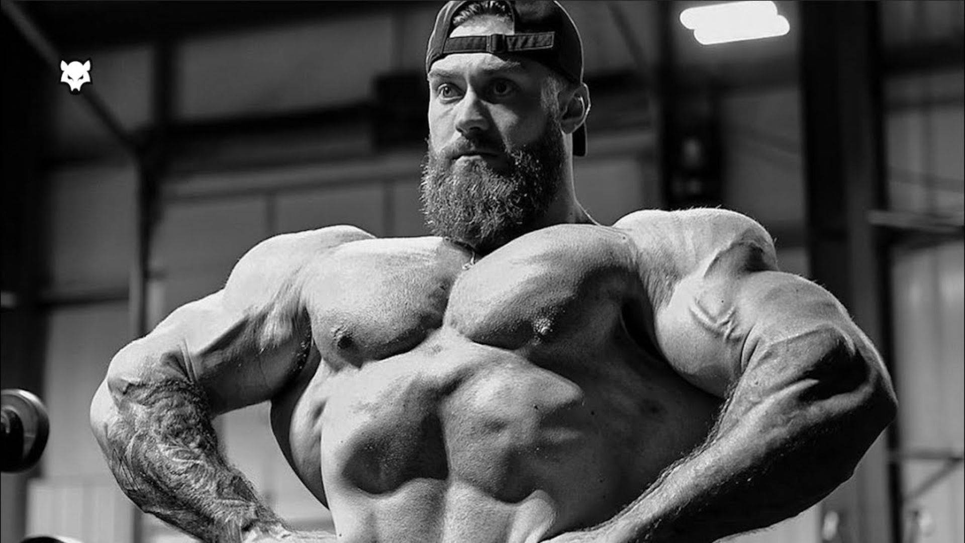Chris Bumstead, grayscale, front lat spread, Full HD Desktop Wallpaper