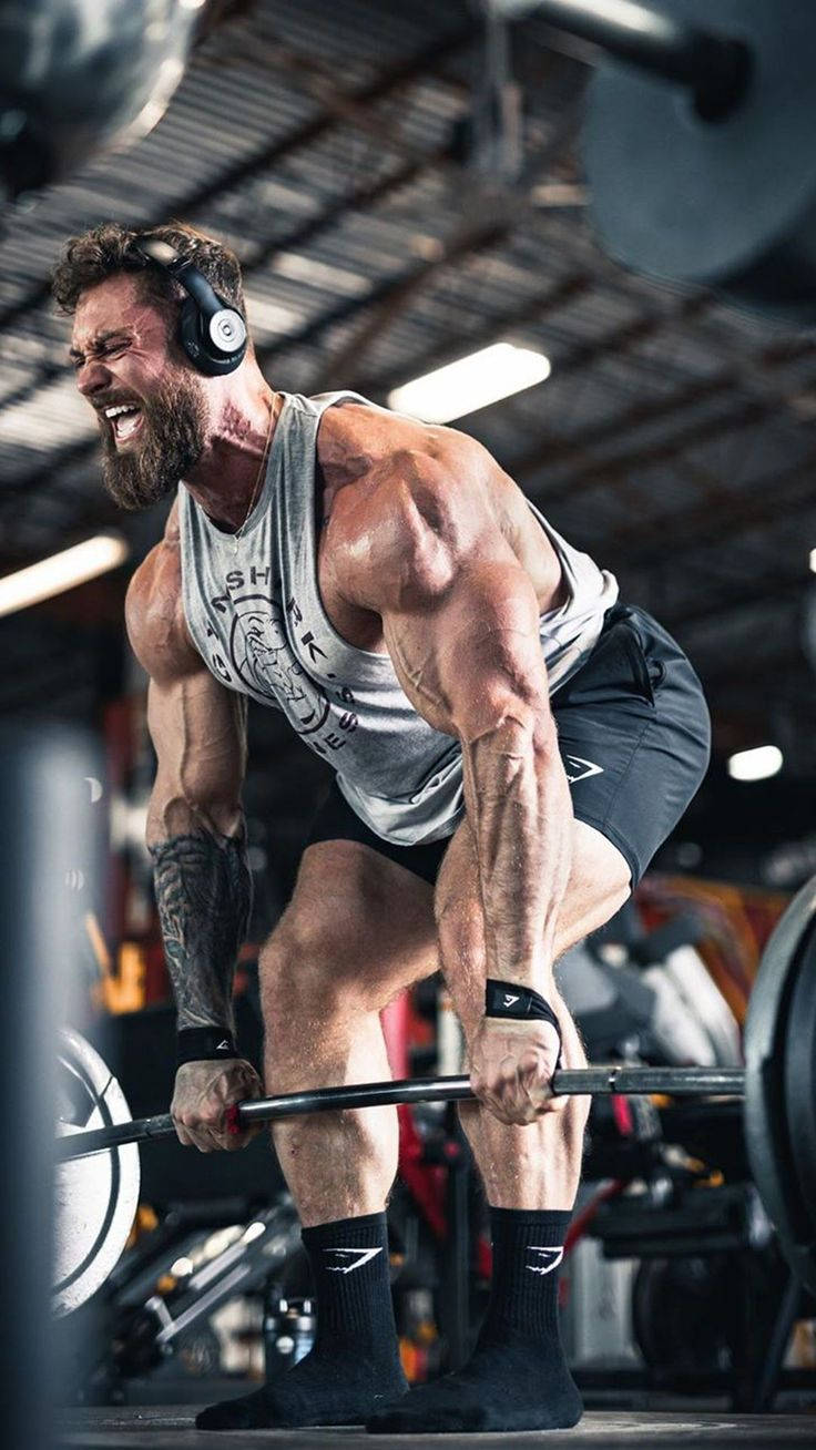Chris Bumstead, barbell, gritty gym, HD Phone Wallpaper