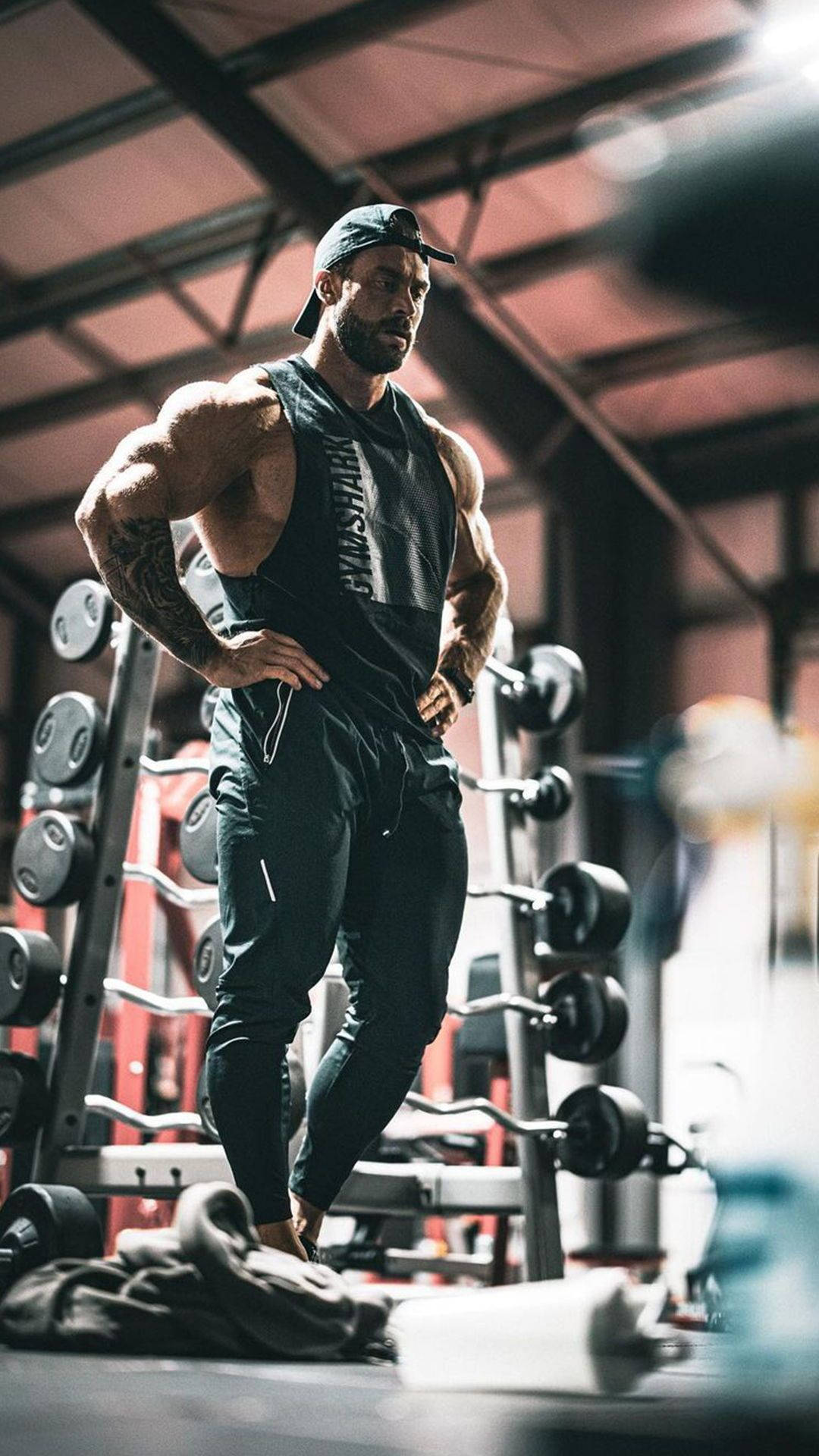 Chris Bumstead, hands on waist, gym, Full HD Phone Wallpaper