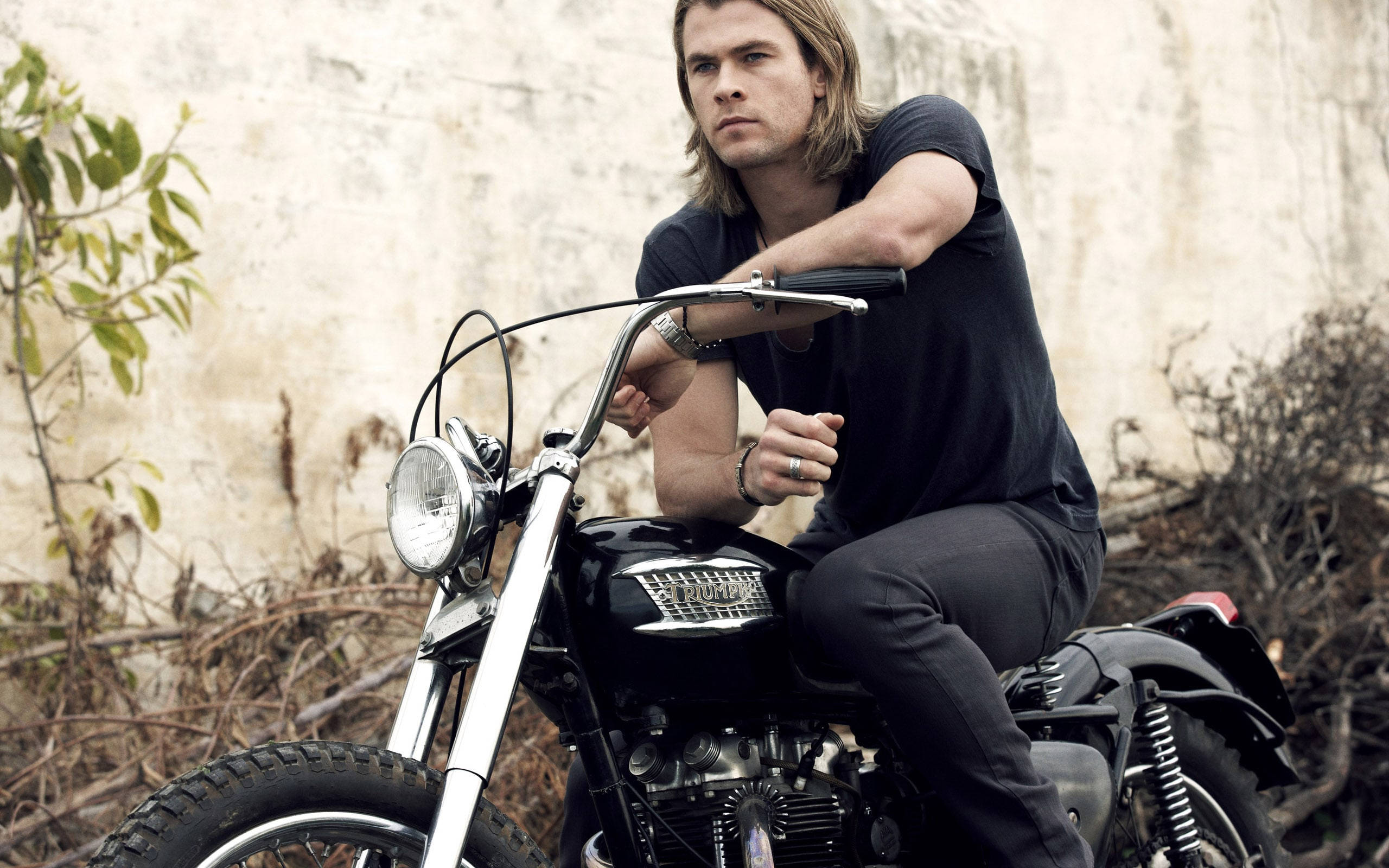 Chris Hemsworth, black motorcycle, weathered wall, 2K Desktop Wallpaper