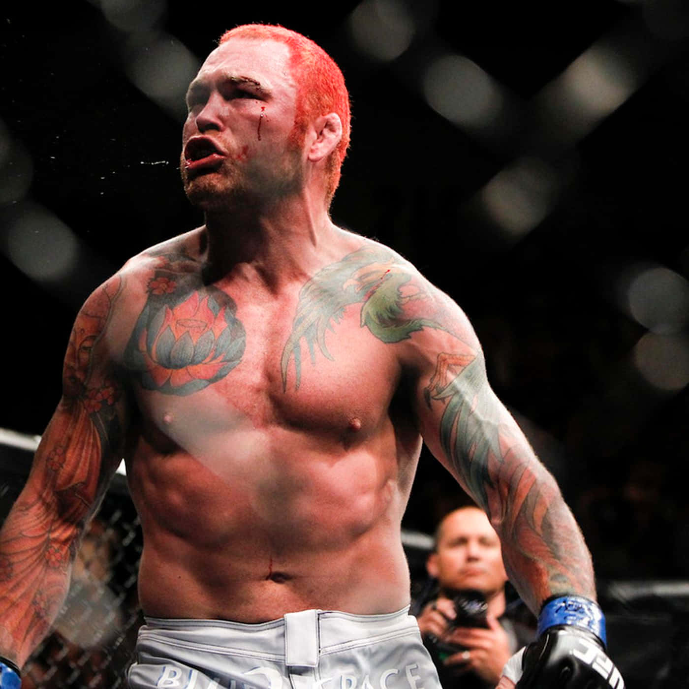 Chris Leben, busted eyebrow, tattooed MMA fighter, HD Desktop Wallpaper