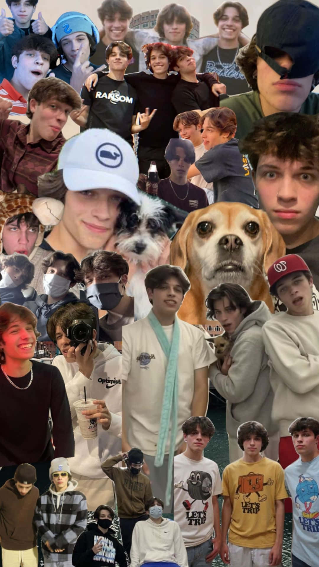 Chris Sturniolo, beagle dog, collage, Full HD Phone Wallpaper