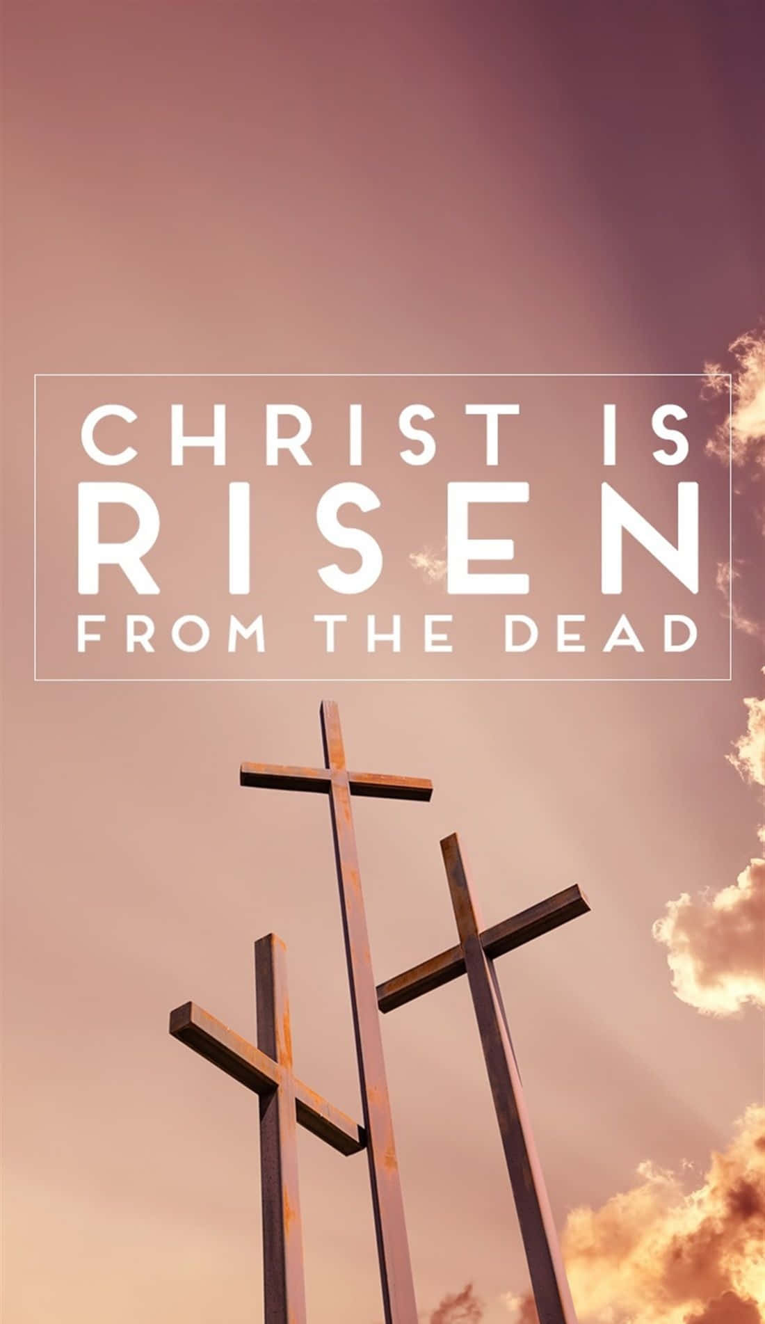 Christ Is Risen, wooden crosses, pink and orange sunset sky, HD Phone Wallpaper