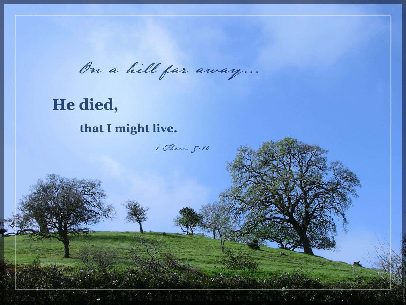 Christian Desktop, biblical quote, hillside, HD Desktop Wallpaper