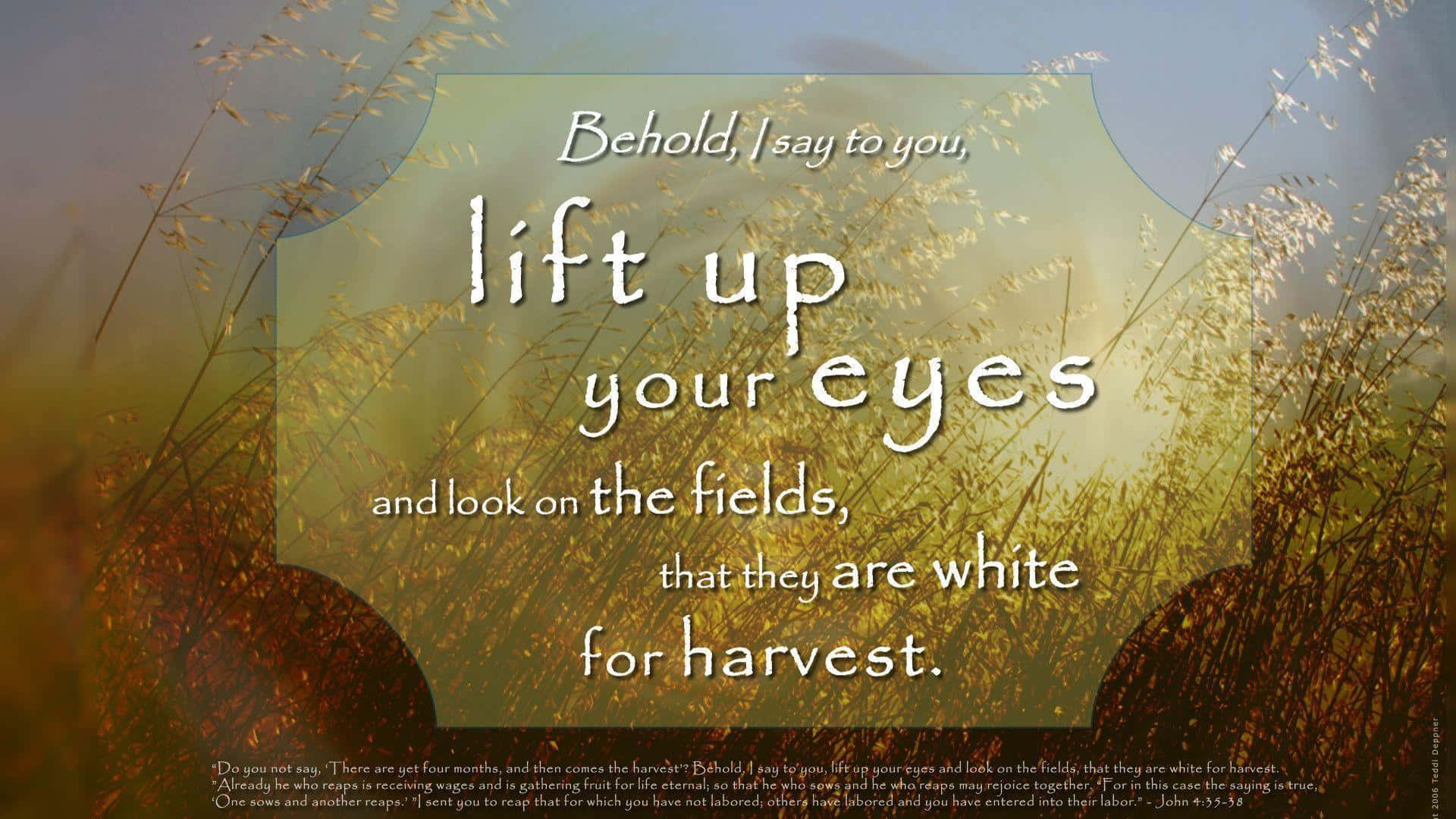 Christian Desktop, golden wheat fields, warm sunlight, Full HD Desktop Wallpaper