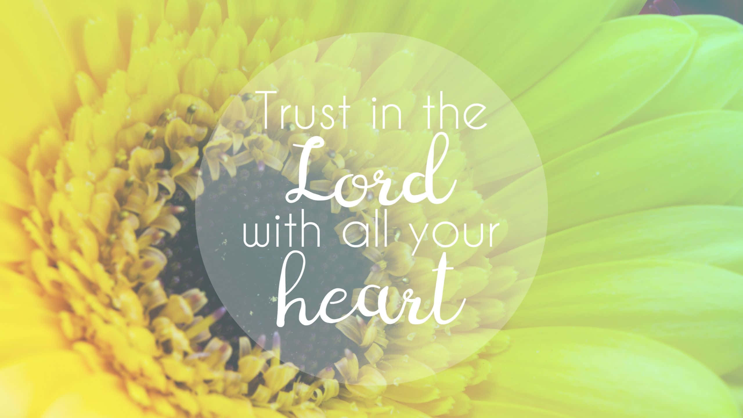 Christian Desktop, Trust in the Lord with all your heart, vibrant yellow flower, 2K Desktop Wallpaper
