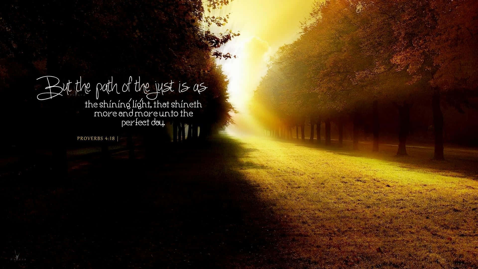 Christian Desktop, golden sunlight, autumn trees, Full HD Desktop Wallpaper