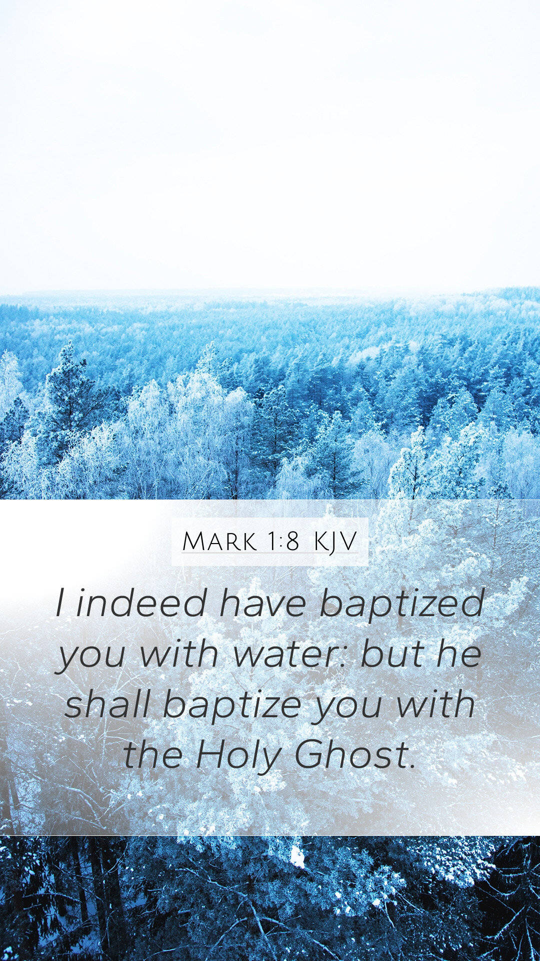 baptized quote, biblical text overlay, frost-covered tree canopy, Full HD Phone Wallpaper