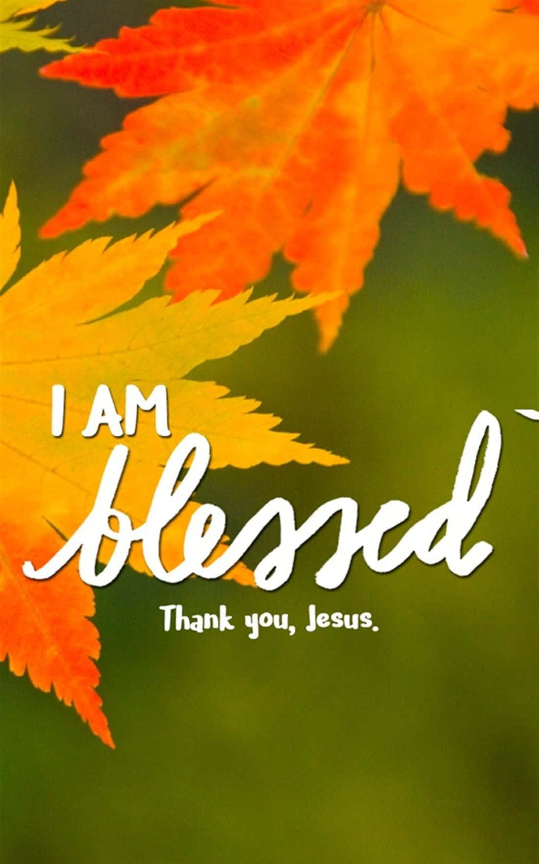 Autumn Blessings Inscription, maple leaves, white script, HD Phone Wallpaper