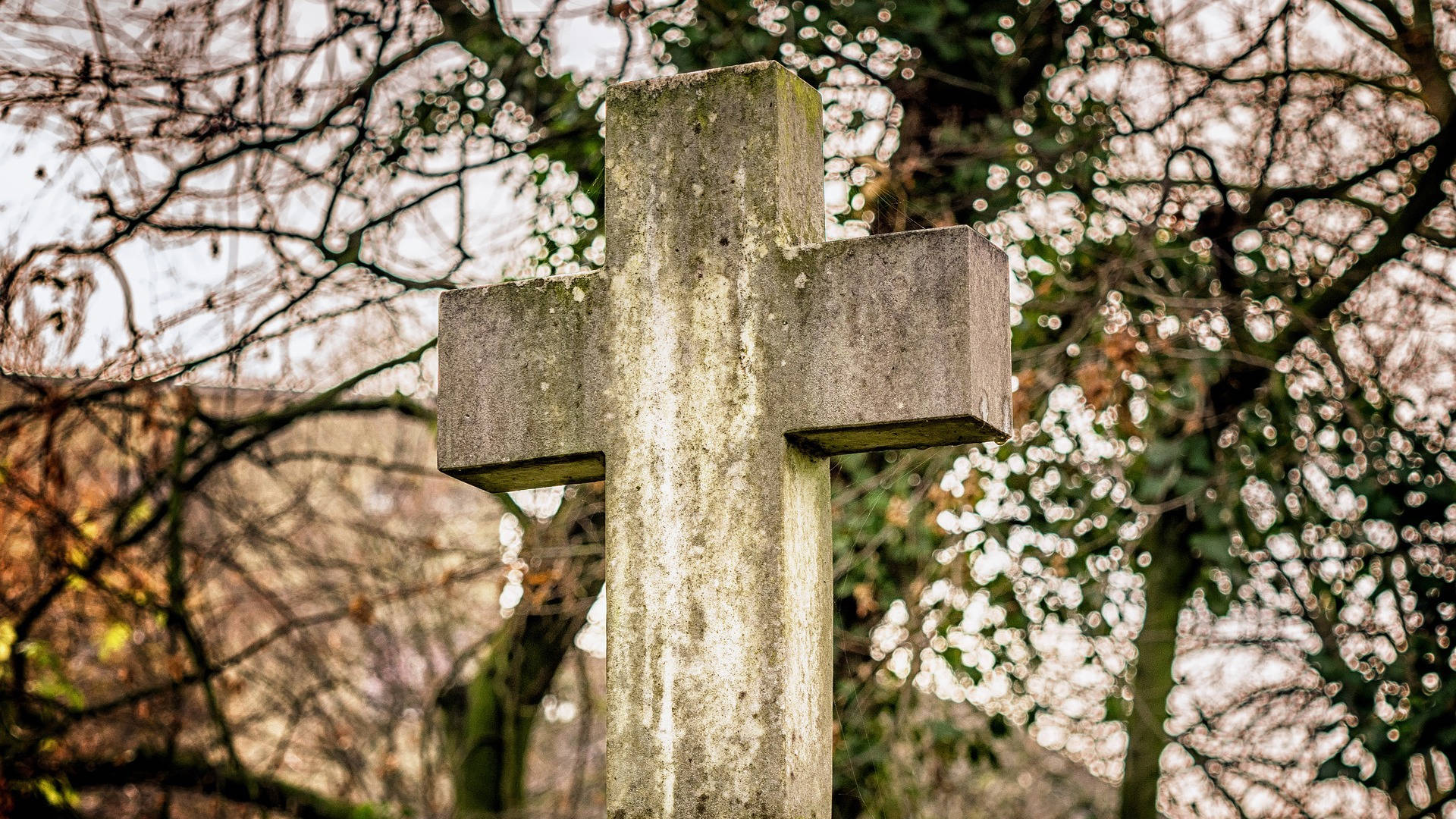 moss-covered cemented cross, stone cross, cemetery, Full HD Desktop Wallpaper