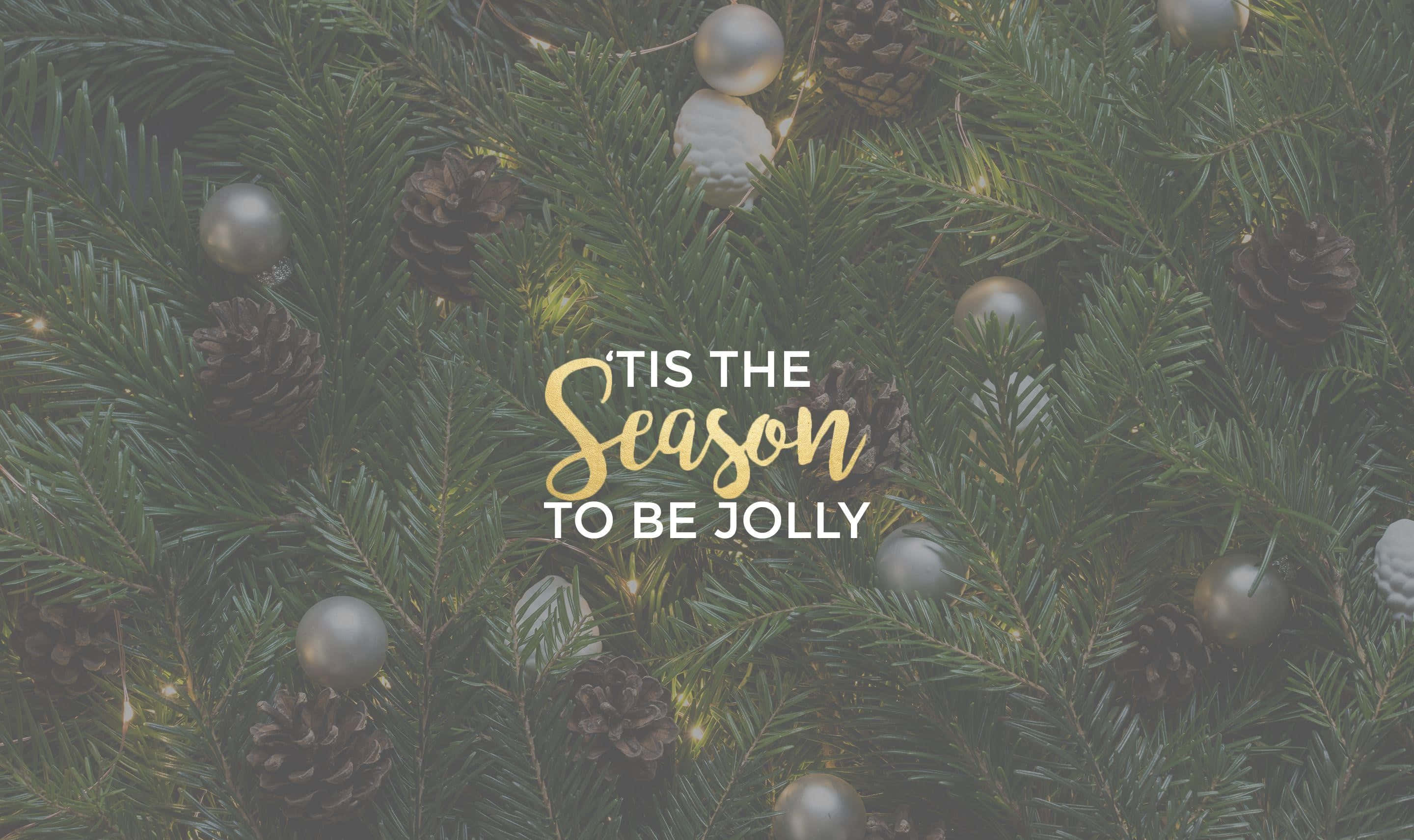 evergreen branches, pinecones, silver ornaments, 2K Desktop Wallpaper