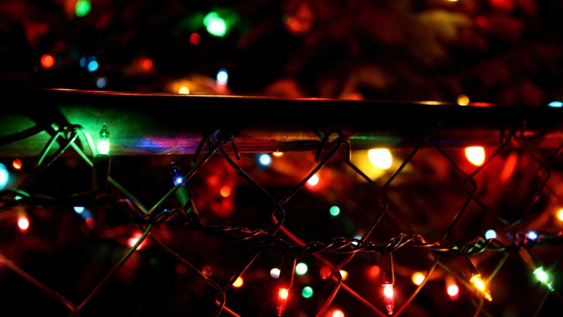 Christmas lights, chain-link fence, nighttime scene, HD Desktop Wallpaper