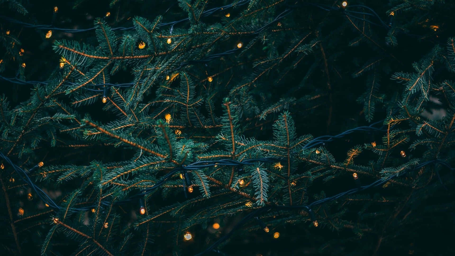 Christmas Aesthetic Computer, twinkling golden fairy lights, dark green pine branches, Full HD Desktop Wallpaper