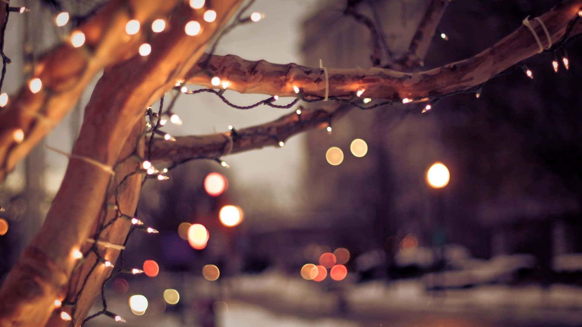 Christmas Aesthetic Computer, warm string lights, bare tree branches, Full HD Desktop Wallpaper