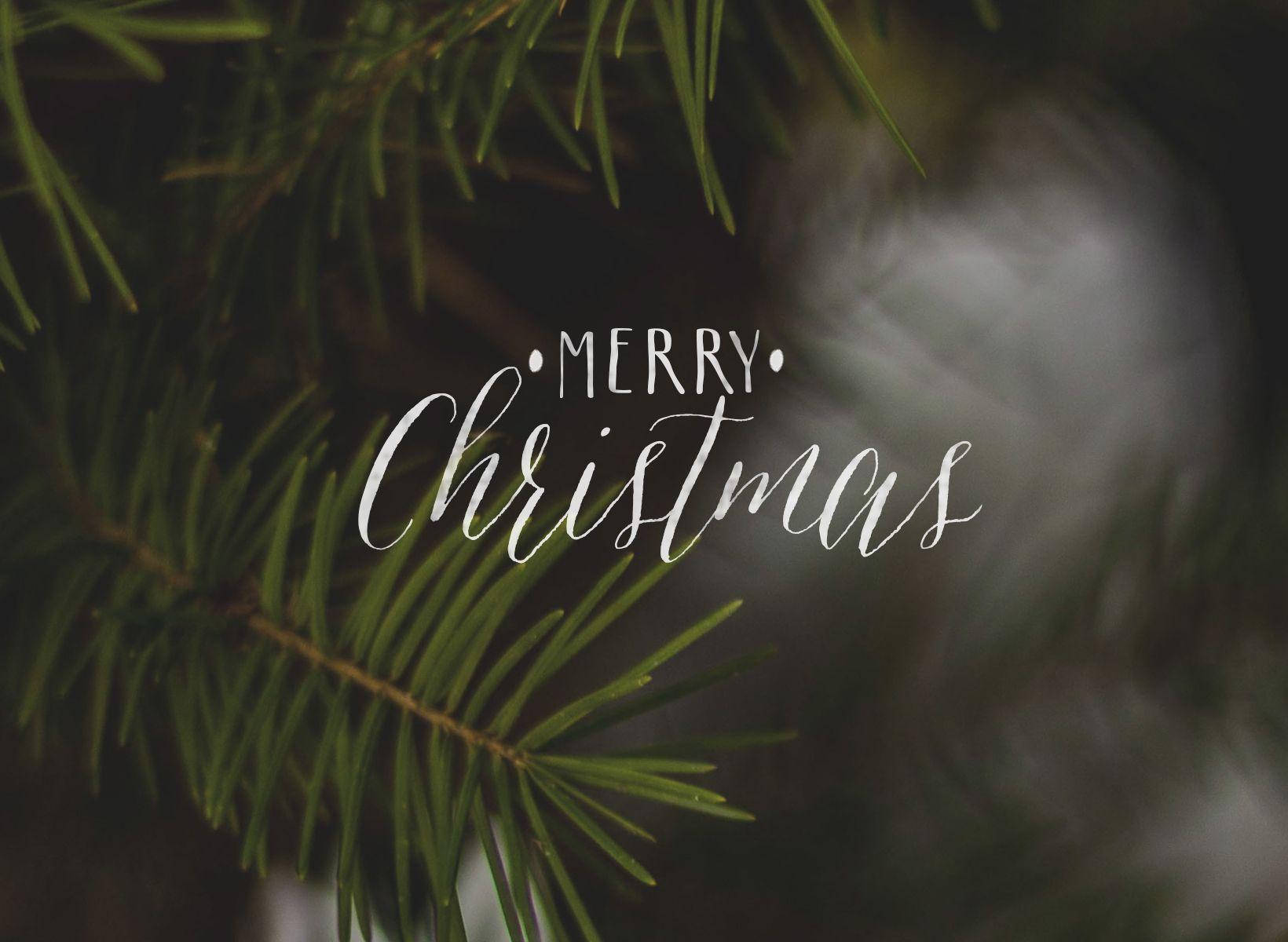 Merry Christmas, evergreen pine needles, white cursive, HD Desktop Wallpaper