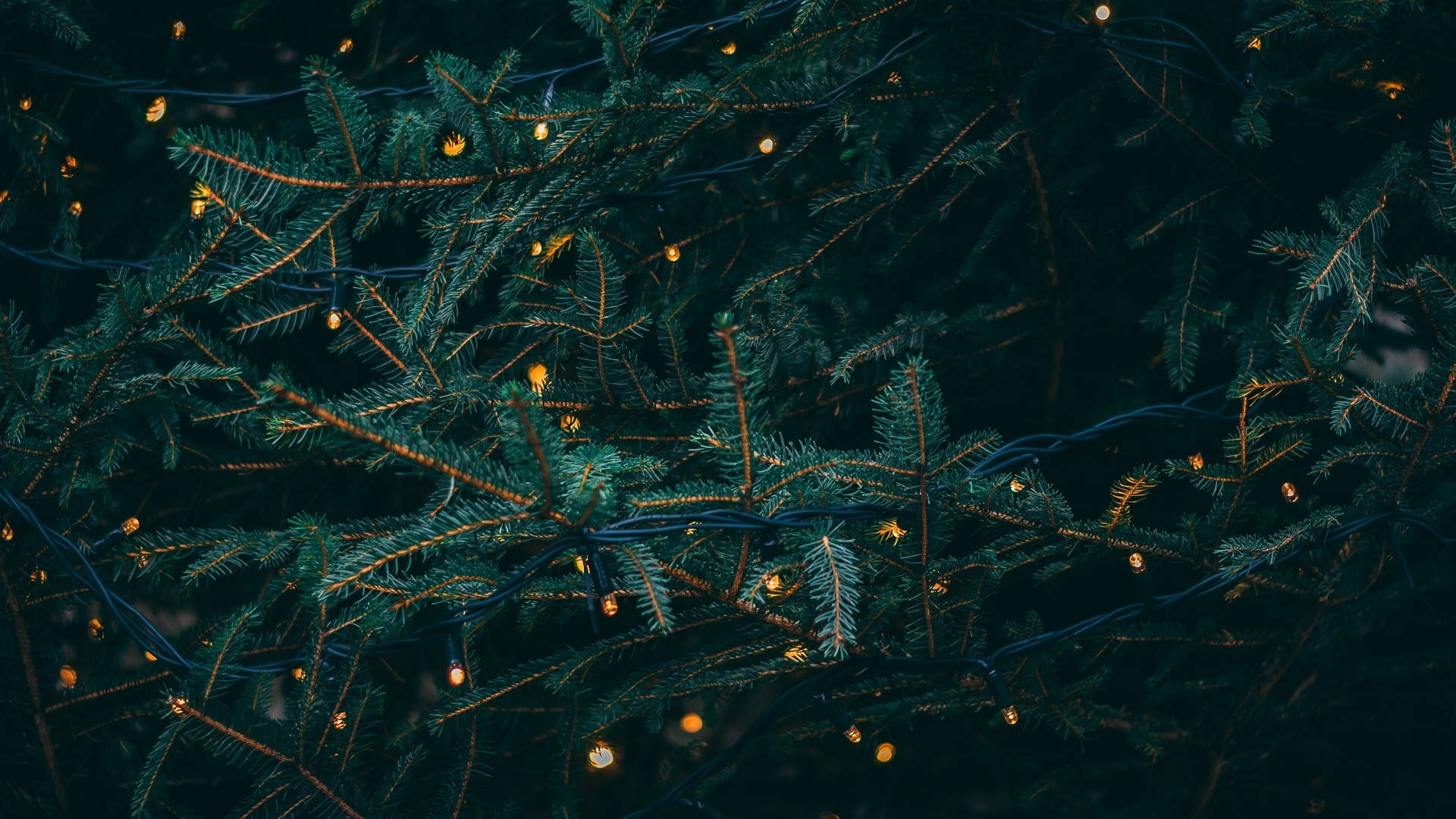 dark green, golden fairy lights, pine branches, Full HD Desktop Wallpaper