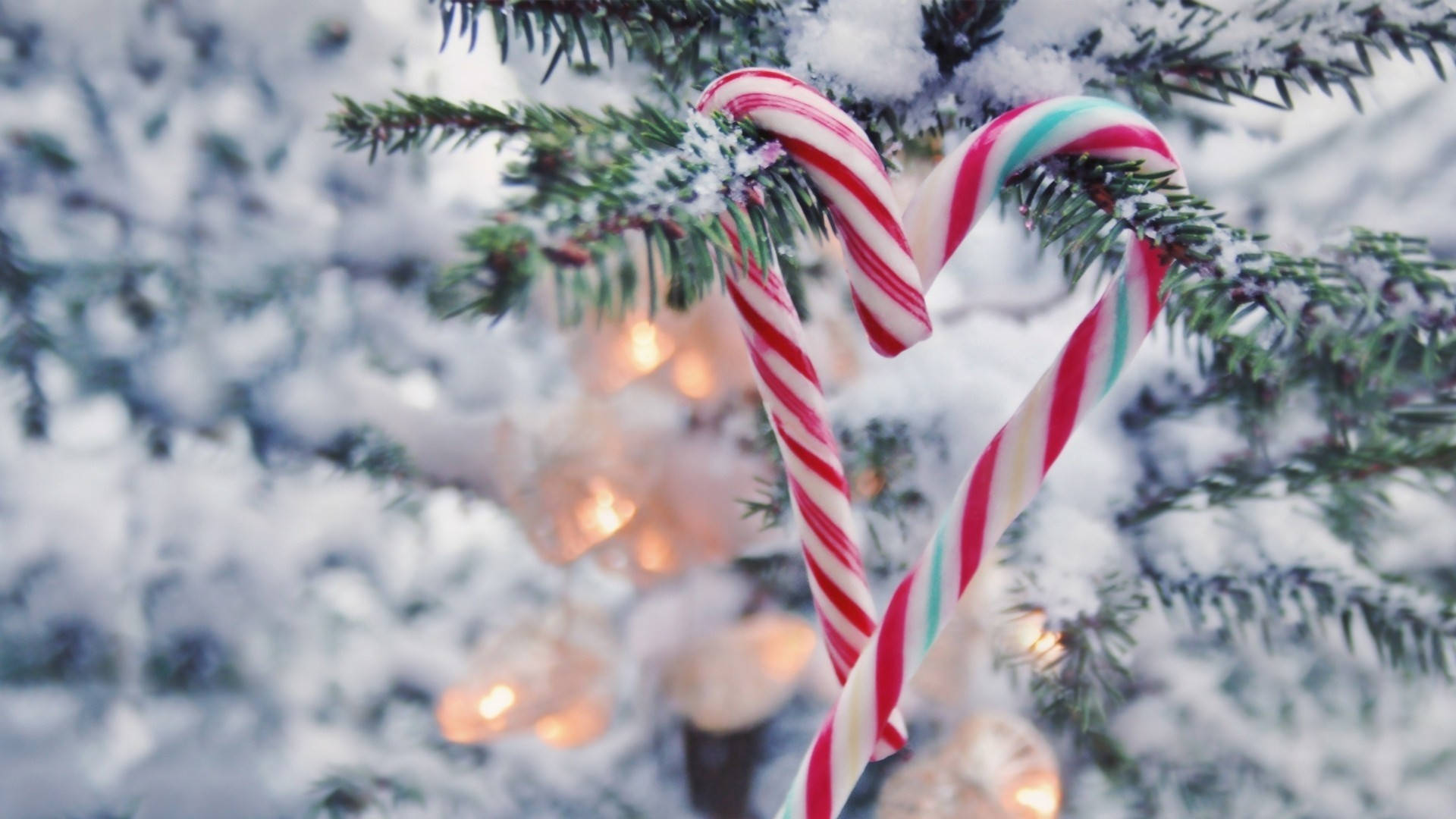 Christmas Aesthetic Desktop, candy cane hearts, snow-dusted pine branches, Full HD Desktop Wallpaper