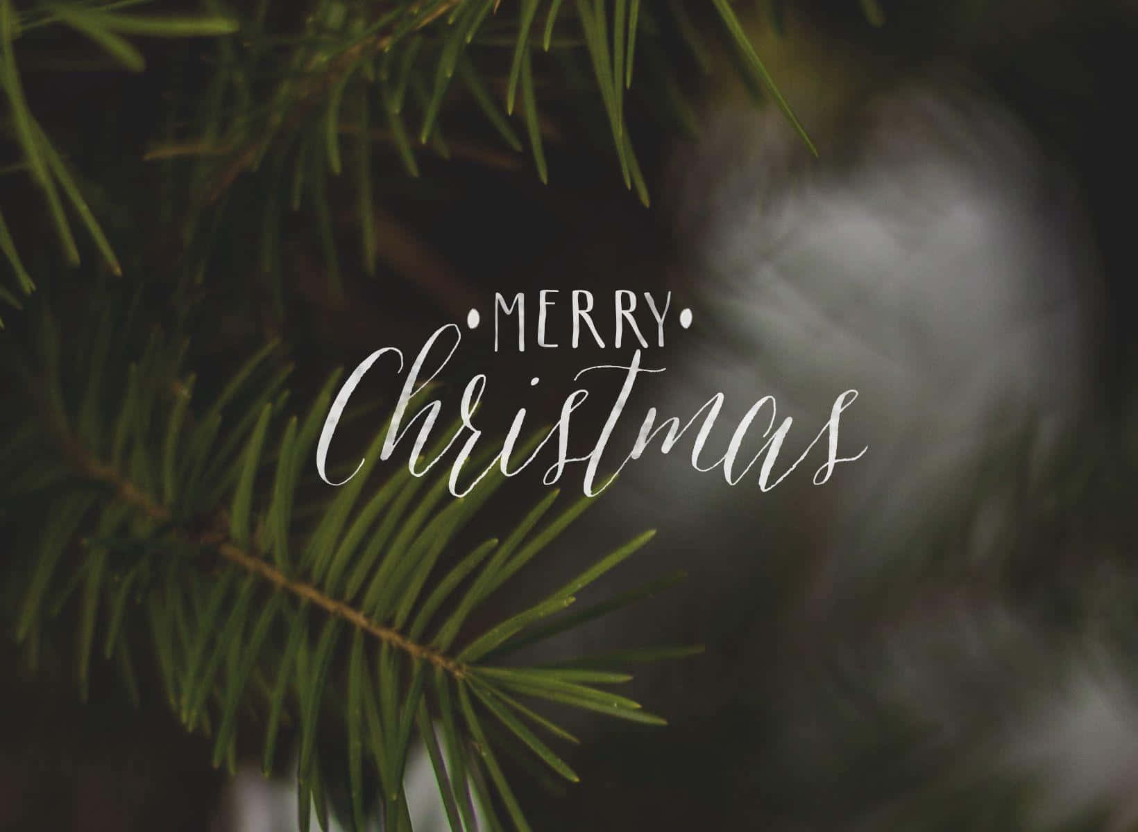Merry Christmas, evergreen pine needles, white cursive, HD Desktop Wallpaper
