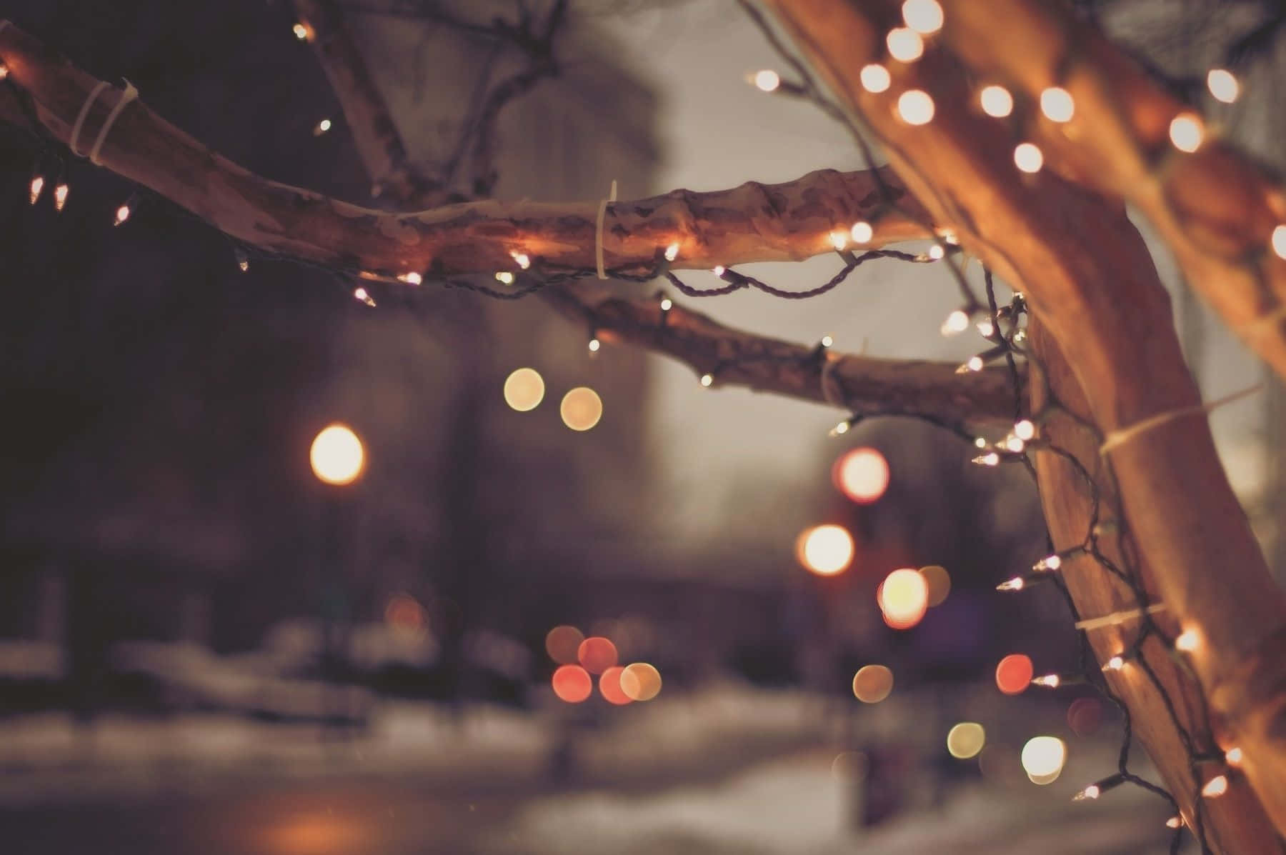 Christmas Aesthetic Tumblr Computer, warm string lights, bare tree branches, HD Desktop Wallpaper