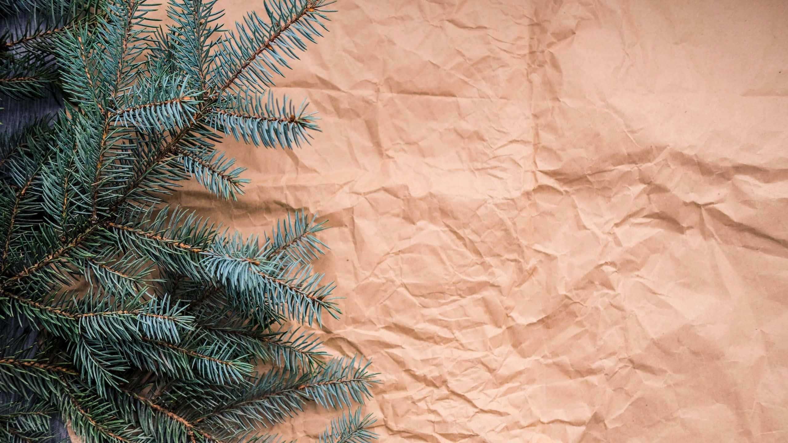 Christmas Aesthetic Tumblr Computer, Evergreen pine branches, sharp needles, 2K Desktop Wallpaper