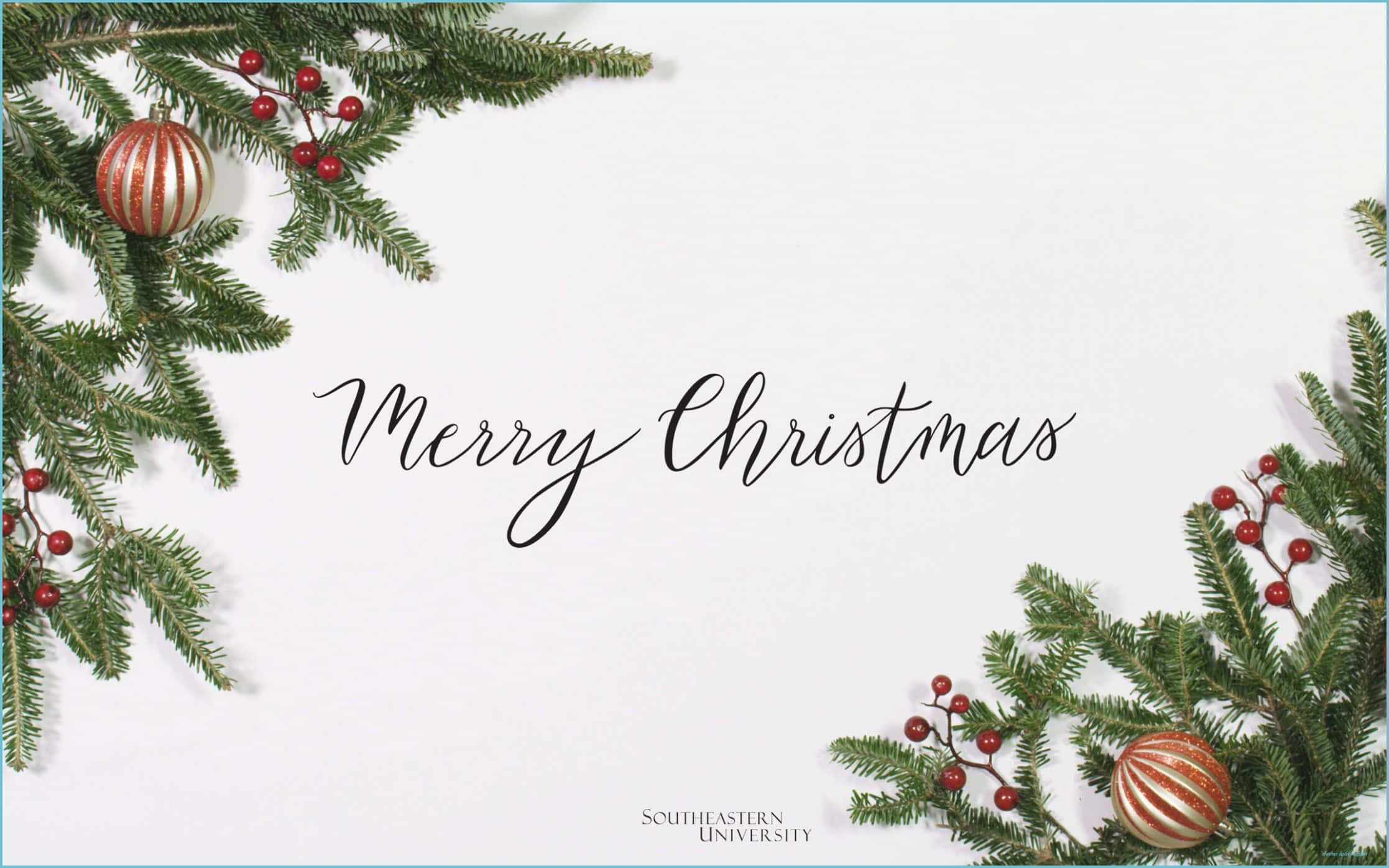Christmas aesthetic tumblr computer, pine branches, red berries, Full HD Desktop Wallpaper