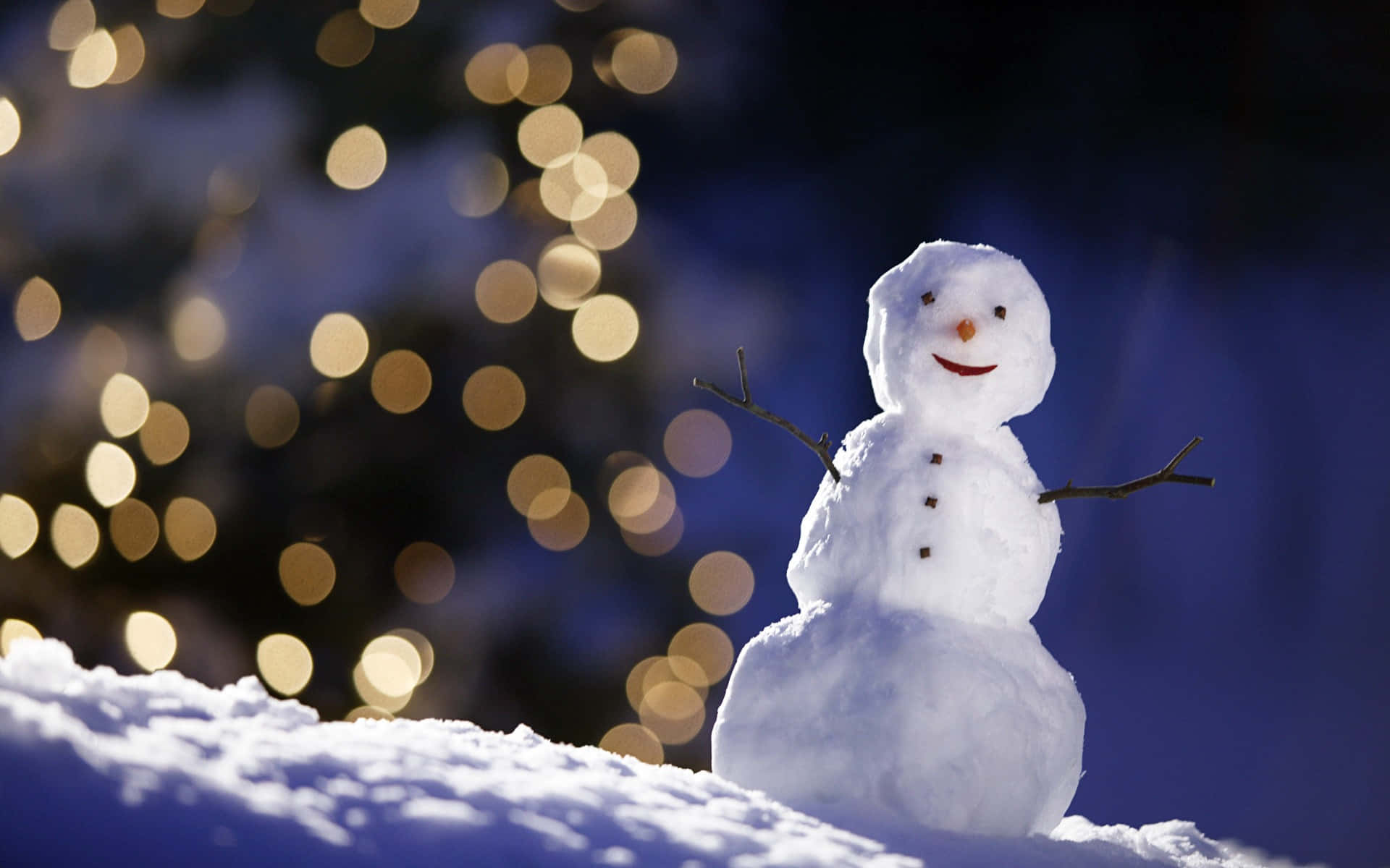 snowman, carrot nose, twig arms, Full HD Desktop Wallpaper