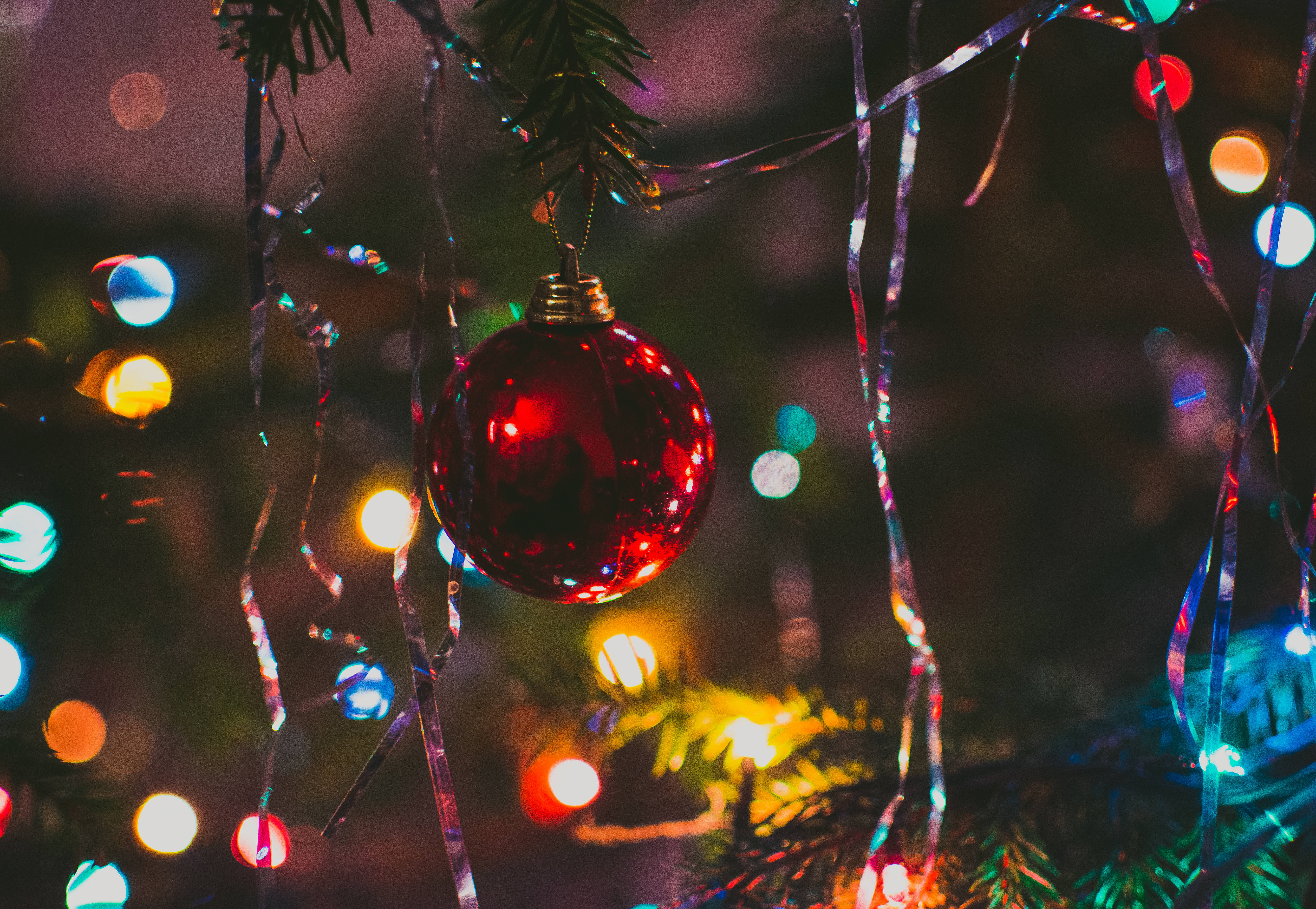 red ball, Christmas tree, pine branch, 5K Desktop Wallpaper