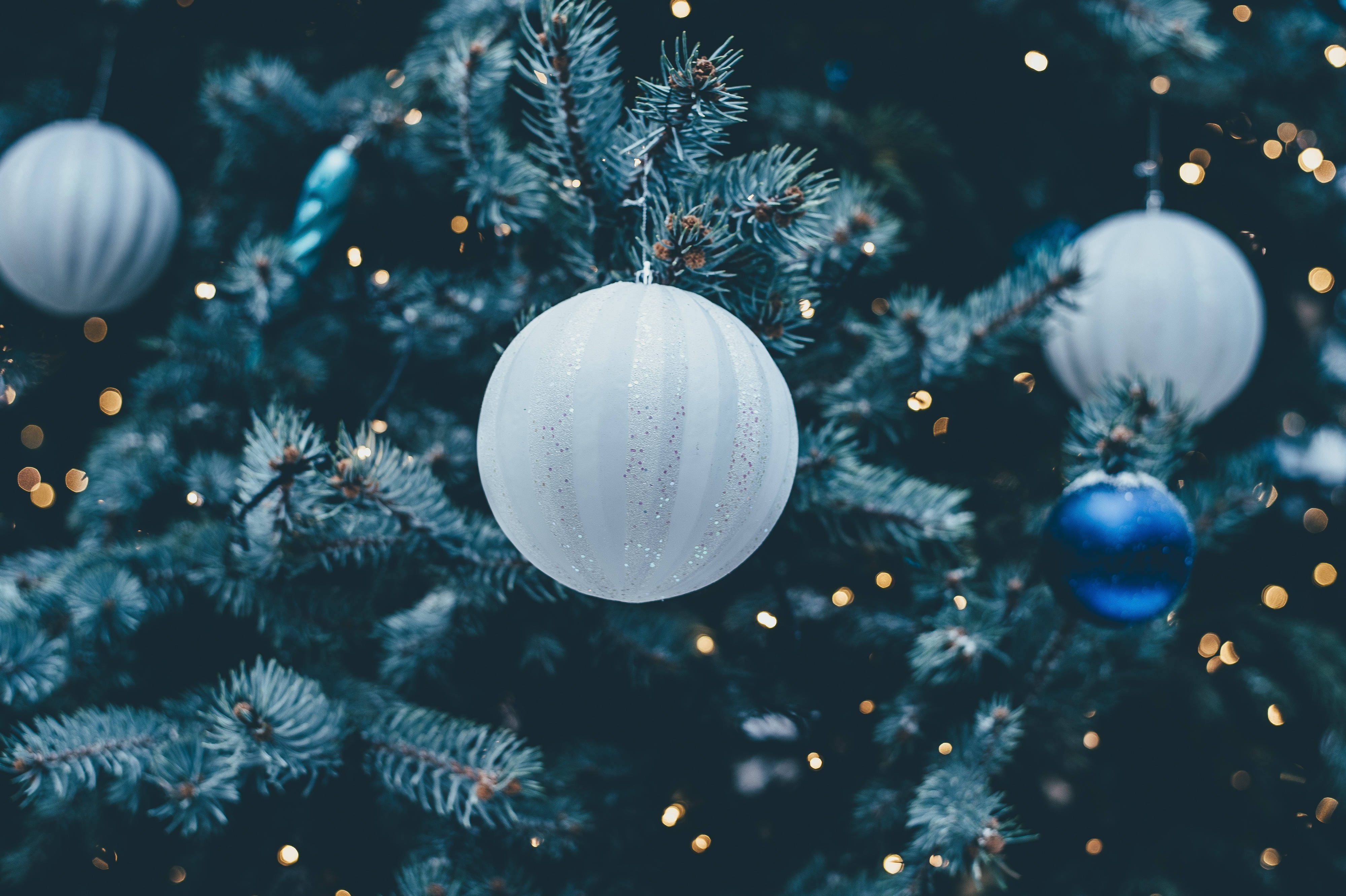 white and blue ornaments, dark green pine tree, warm bokeh lights, 4K Desktop Wallpaper