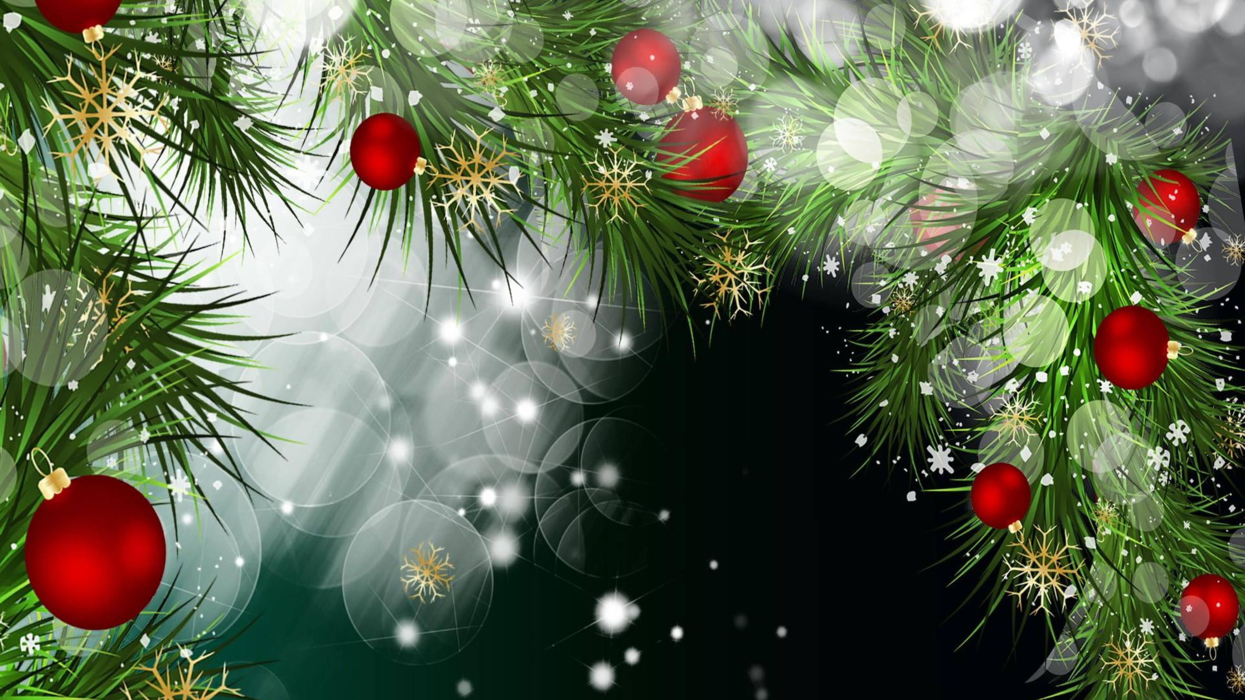 red Christmas balls, green spruce, vibrant green pine branches, 4K Desktop Wallpaper