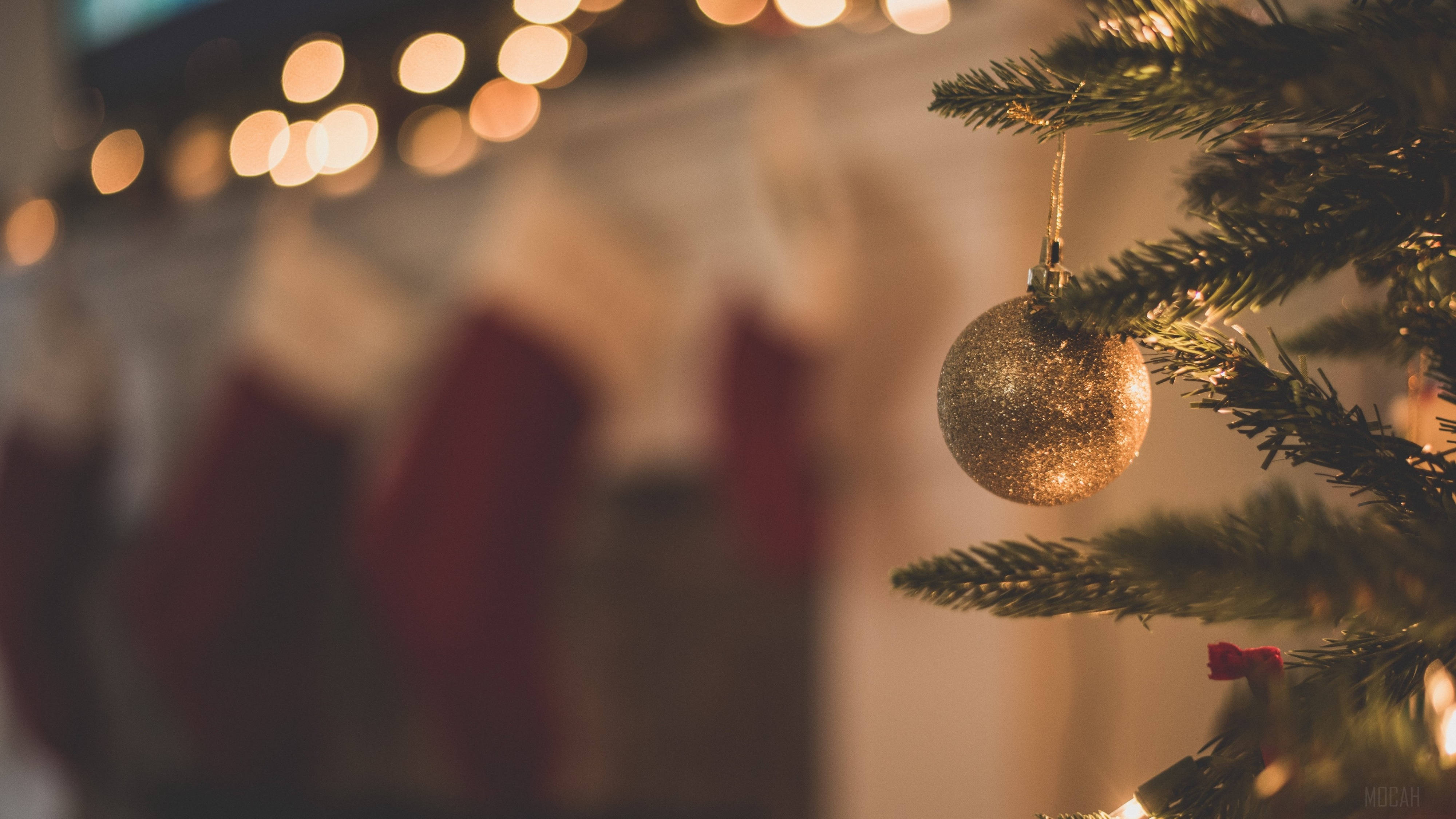 glittering gold ornament, pine branch, warm bokeh lights, 4K Desktop Wallpaper