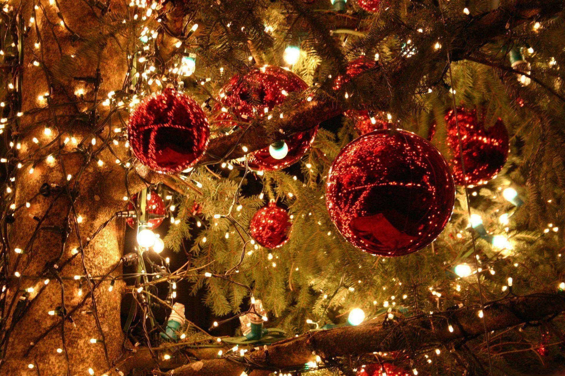 Christmas tree, shiny red ornaments, twinkling warm white fairy lights, Full HD Desktop Wallpaper