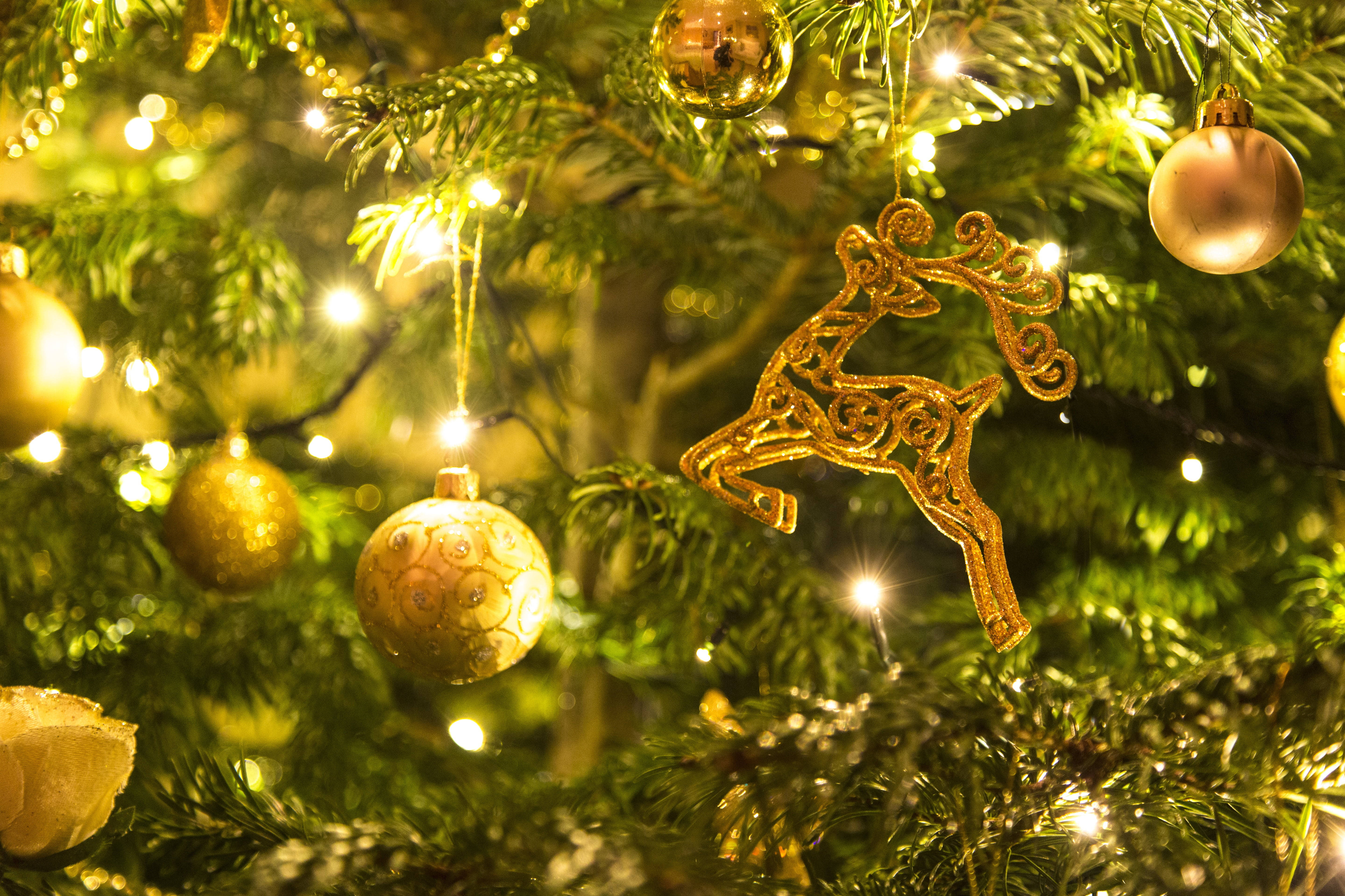 golden ornaments, glittering reindeer, lush green pine needles, 5K Desktop Wallpaper