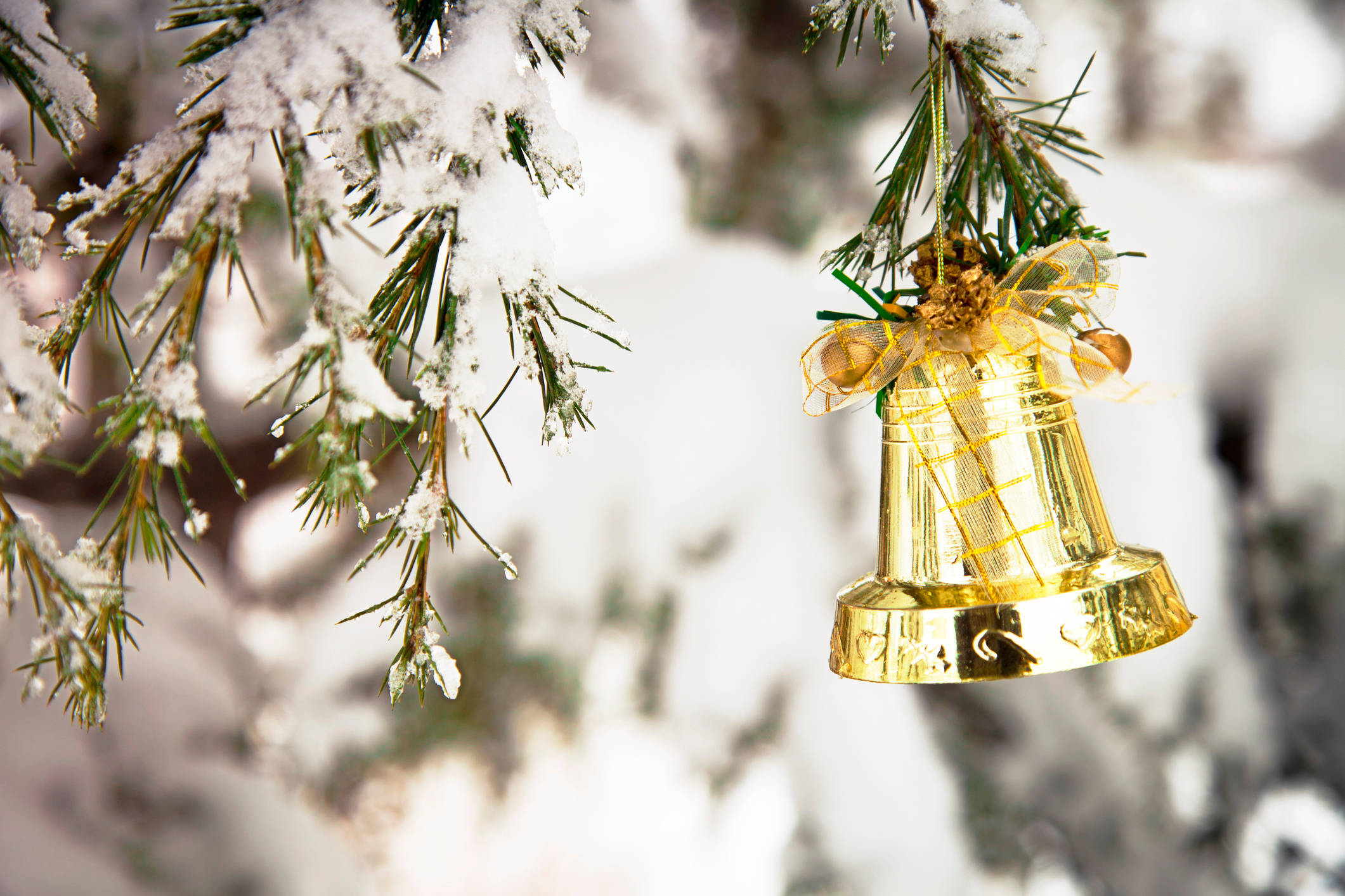Christmas Bell, golden, snow-dusted pine branch, Full HD Desktop Wallpaper