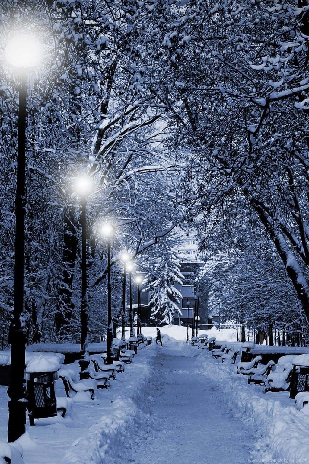 snow-covered park path, glowing streetlights, snow-laden trees, HD Phone Wallpaper