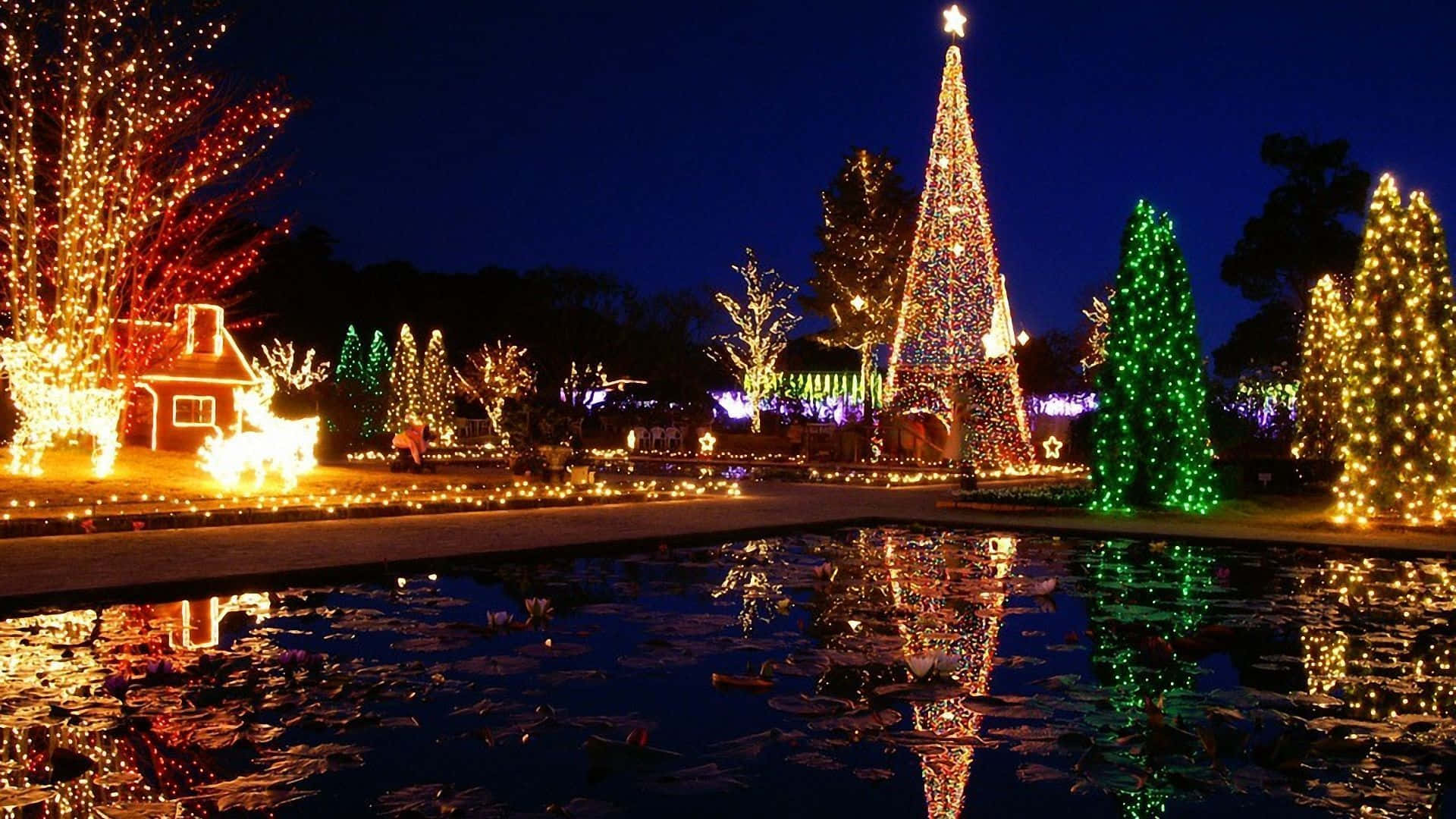 Christmas tree, glowing trees, pond, Full HD Desktop Wallpaper