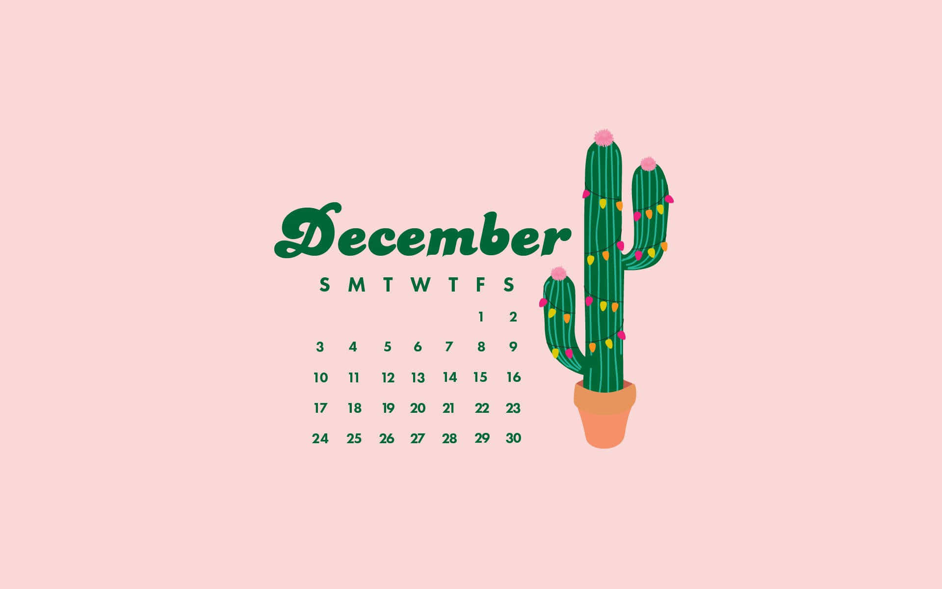 December calendar, festive cactus, colorful lights, Full HD Desktop Wallpaper