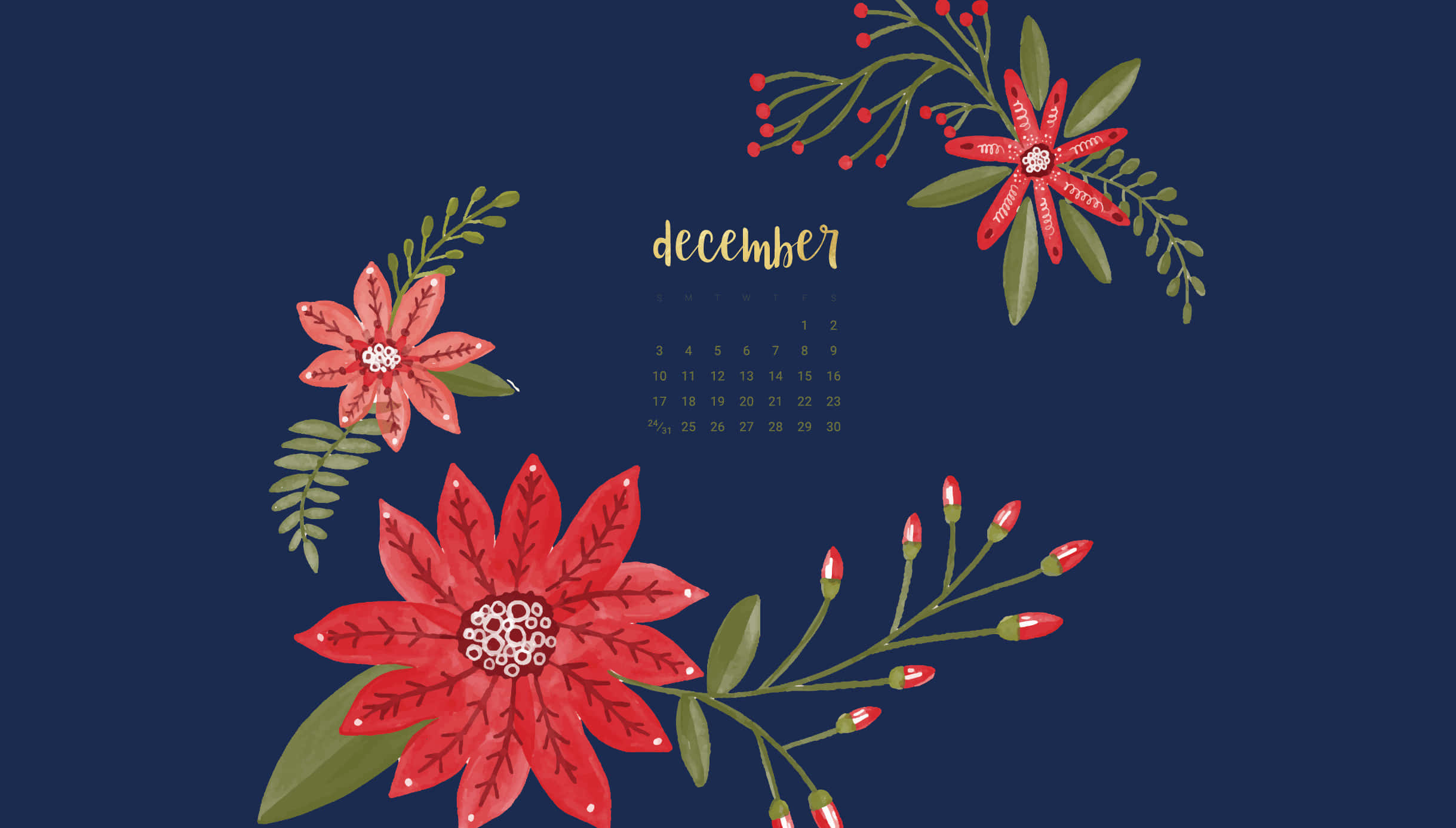 poinsettias, December calendar, deep navy background, Full HD Desktop Wallpaper