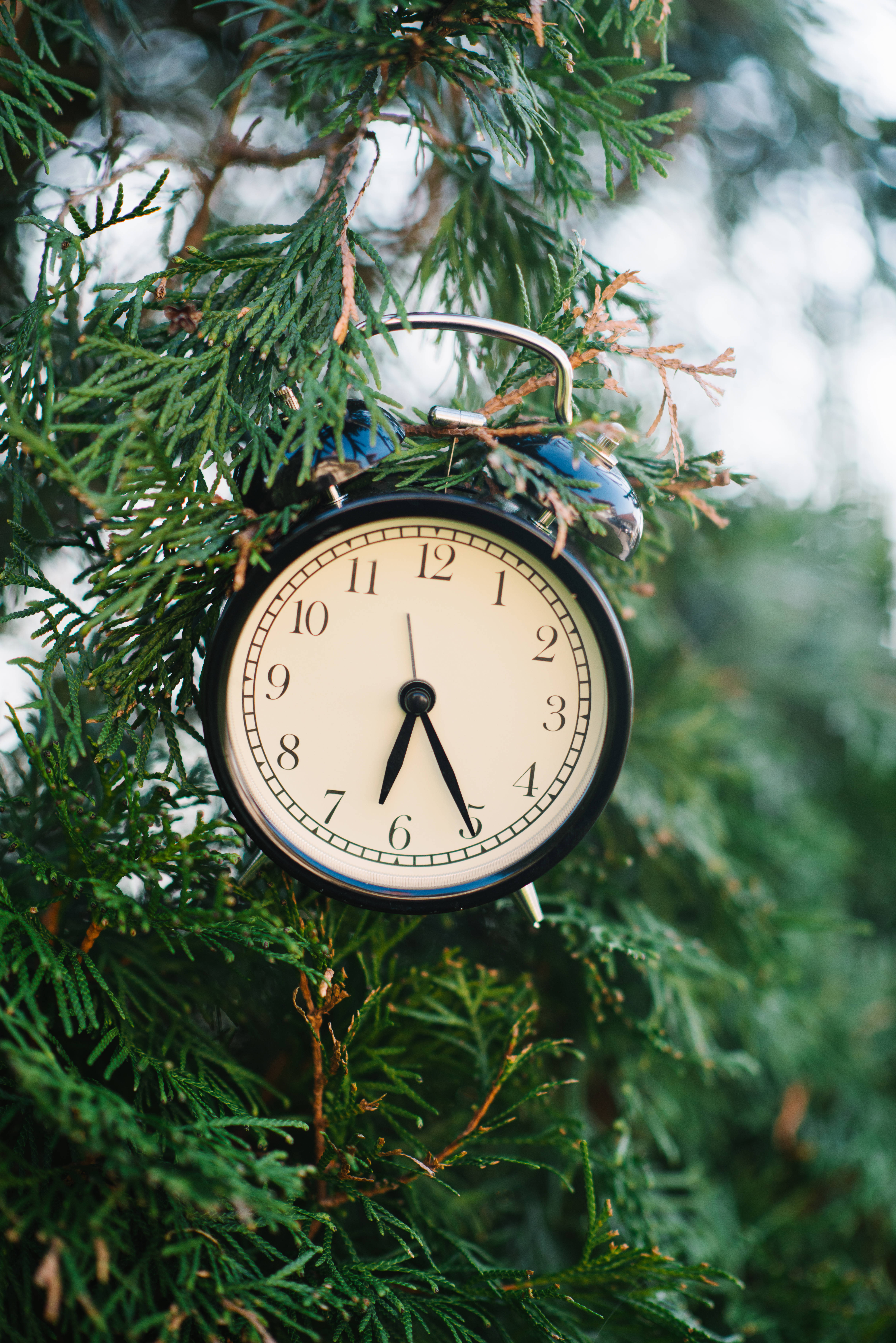 vintage black alarm clock, evergreen branches, seven minutes past seven, 5K Phone Wallpaper