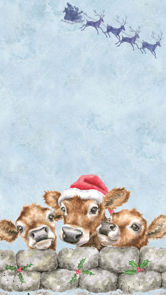 Christmas Cow, Santa hat, sleigh, SD Phone Wallpaper