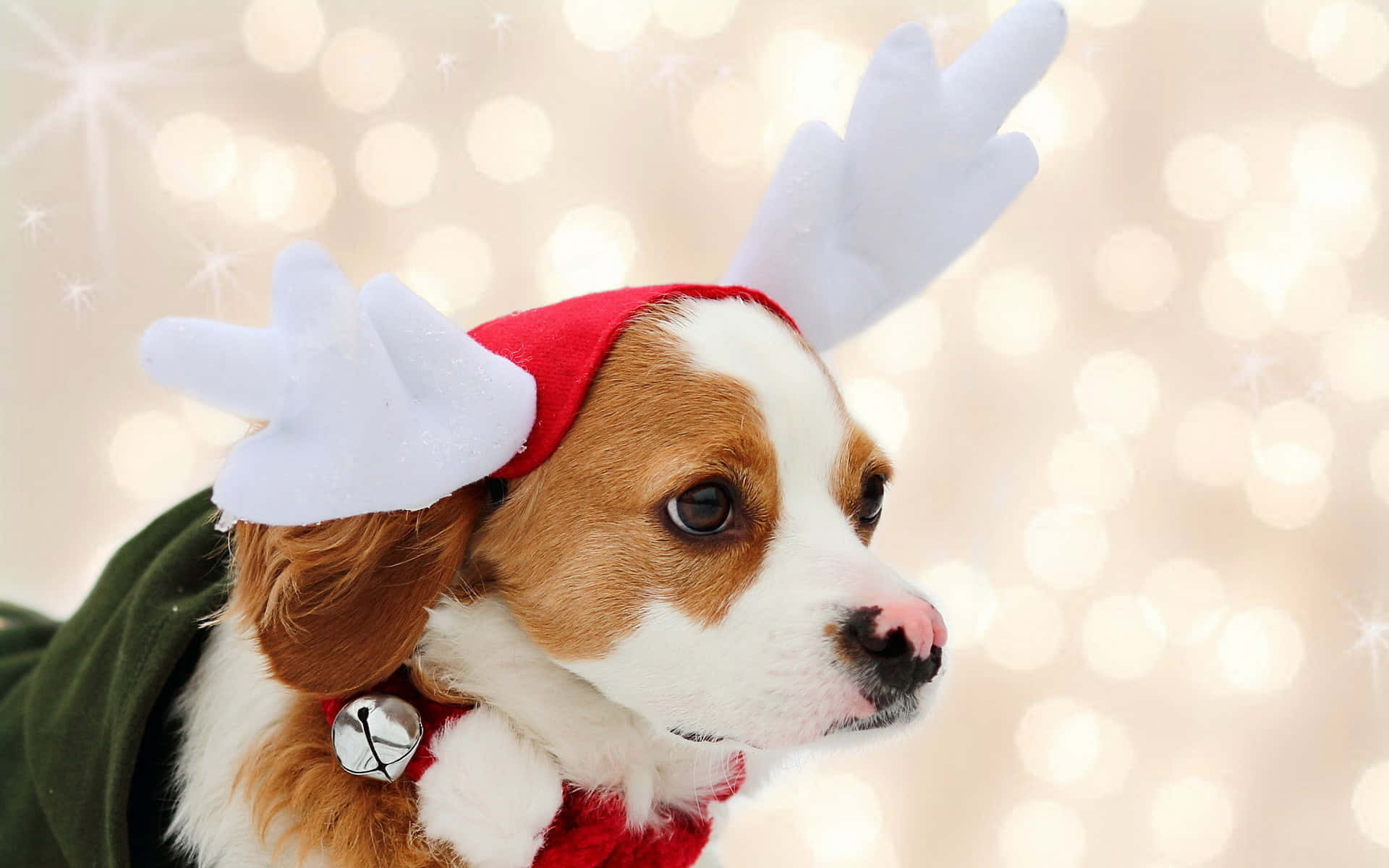 beagle puppy, red Santa hat, white reindeer antlers, Full HD Desktop Wallpaper