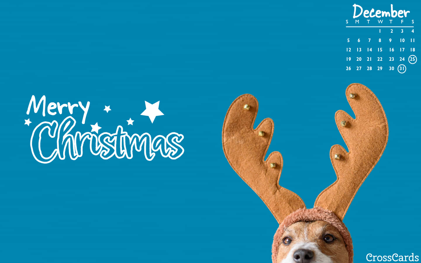 Christmas Dog, reindeer antlers, vibrant blue background, HD Desktop Wallpaper