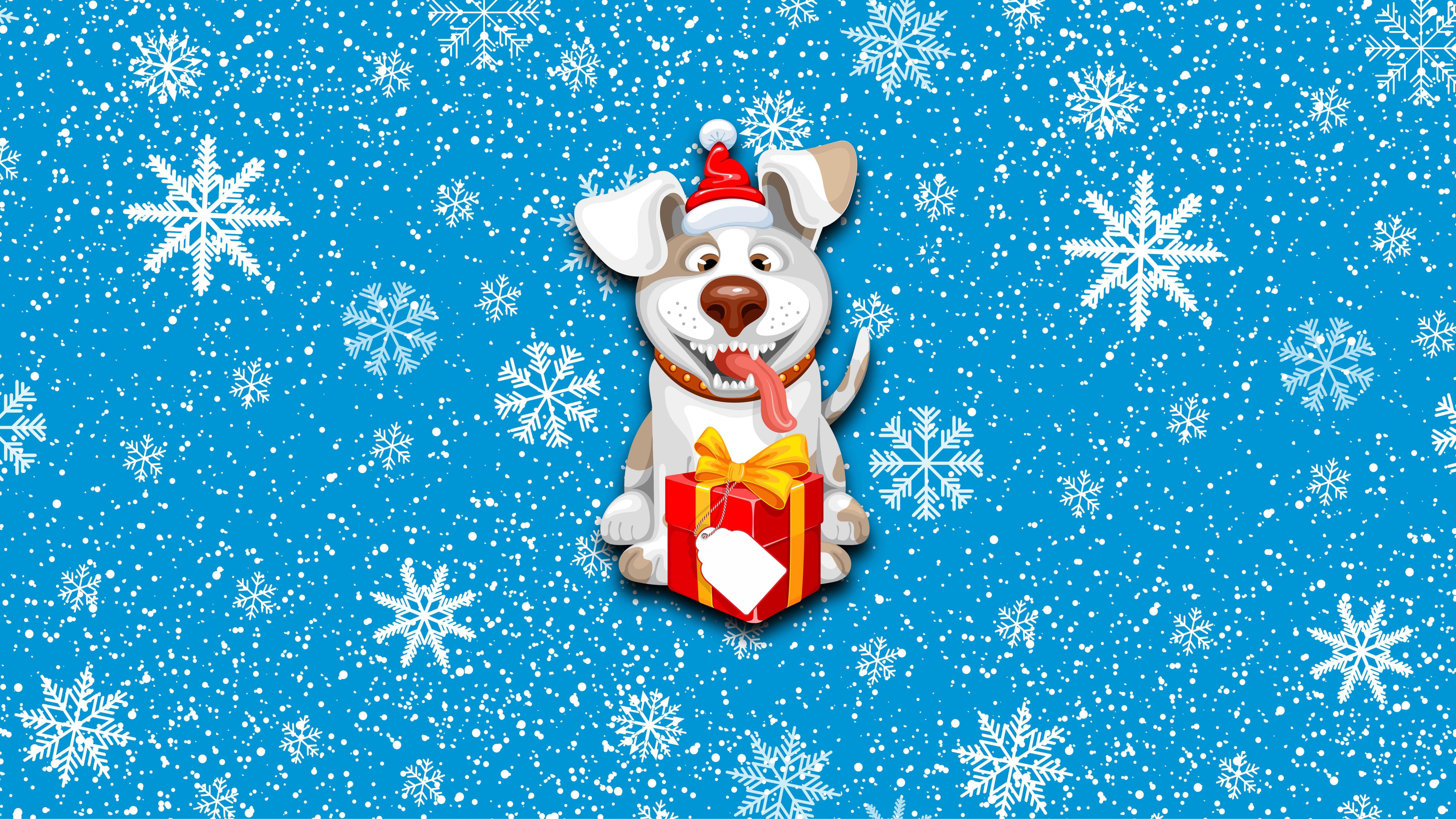 Christmas Dog, red Santa hat, red gift box, 8K Desktop Wallpaper