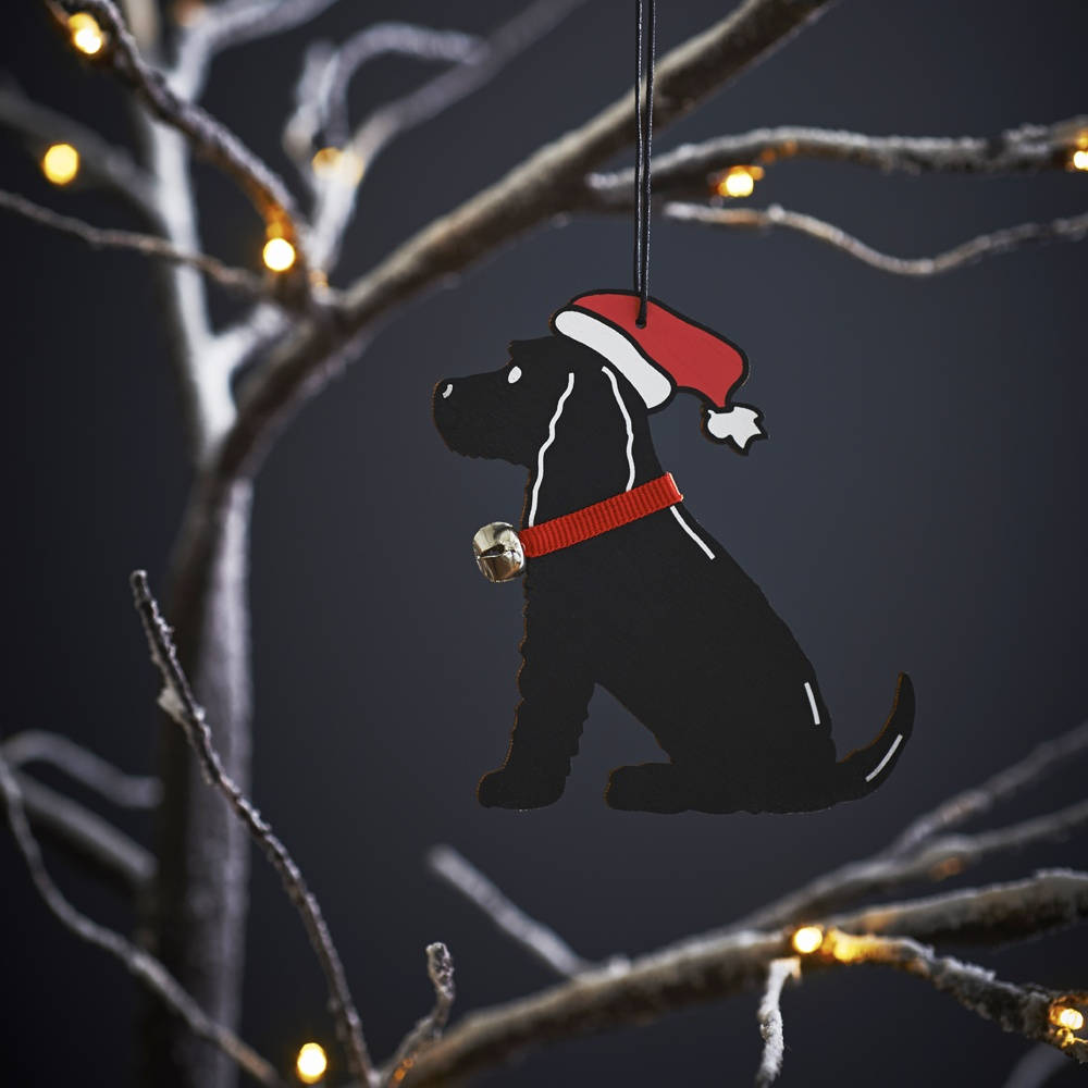black dog, red Santa hat, bell, SD Desktop Wallpaper