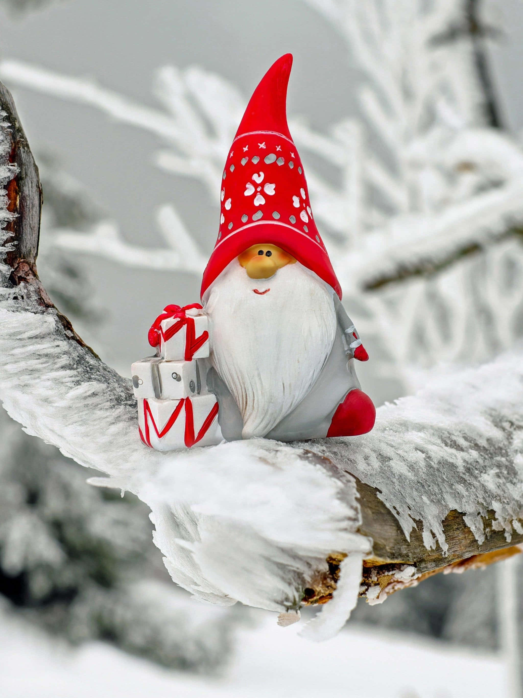 Christmas Elves, red-capped gnome, white beard, 2K Phone Wallpaper