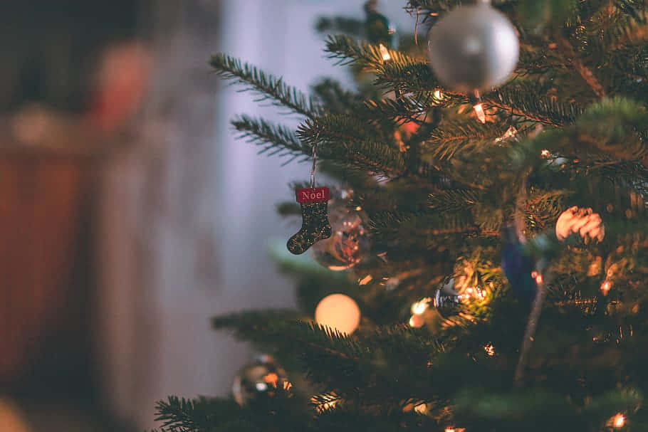 Christmas tree, silver ornaments, Noel stocking, SD Desktop Wallpaper