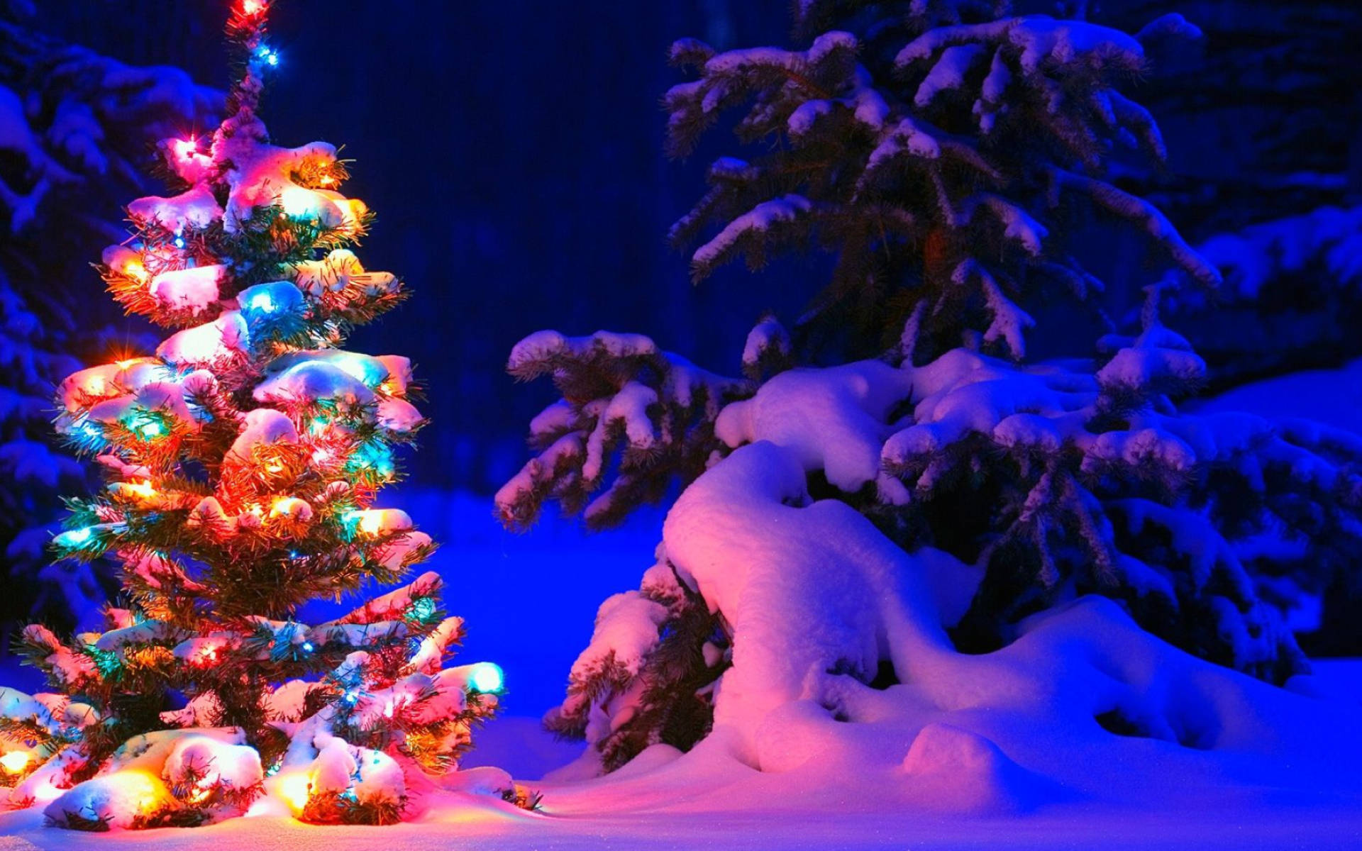 Christmas Forest, snow-covered Christmas tree, colorful lights, Full HD Desktop Wallpaper